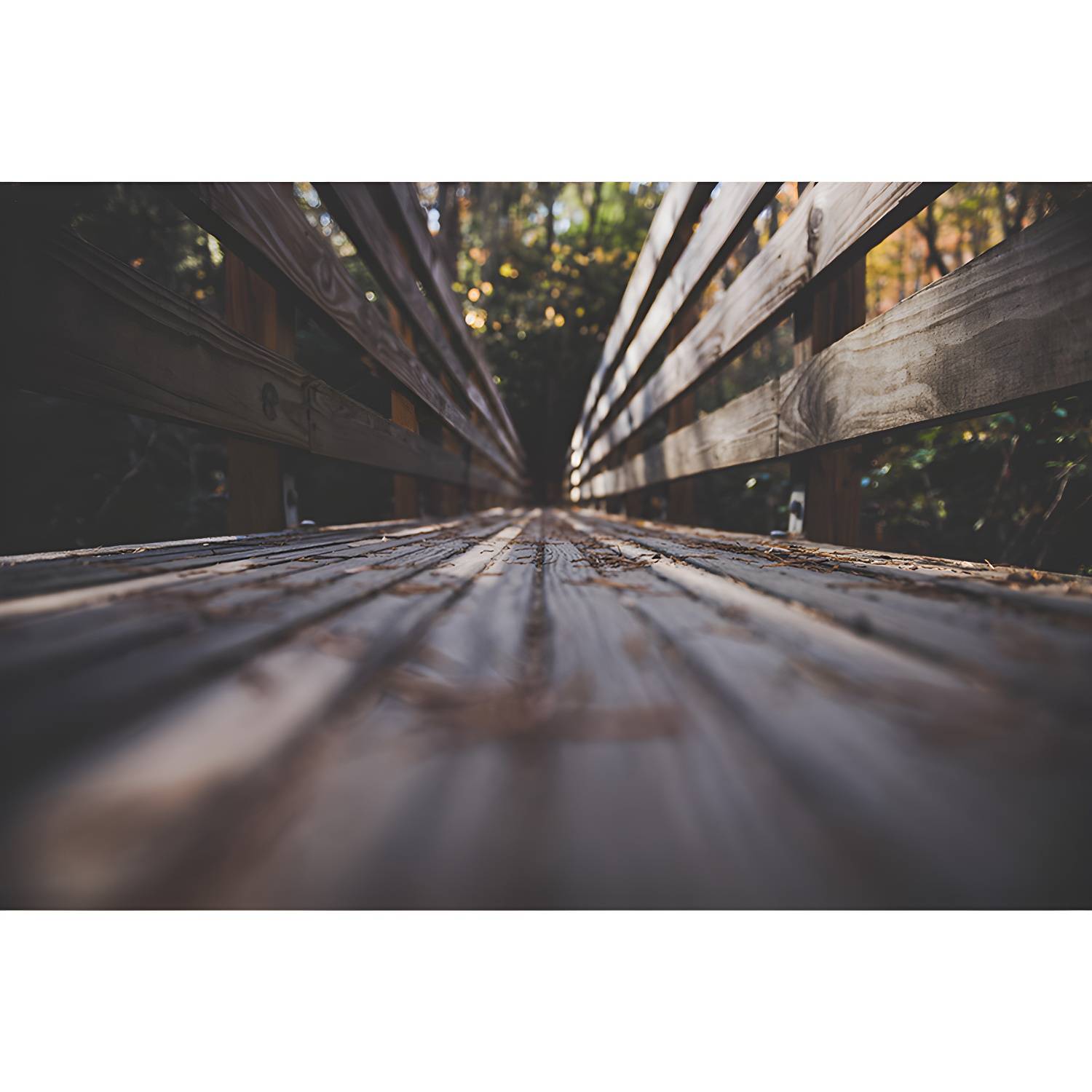 Imported image 1af7d6259688 4338707.jpg