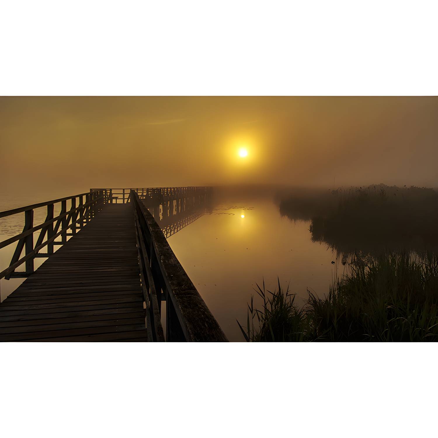 Imported image 7c3fdfdf3ab7 4338757.jpg