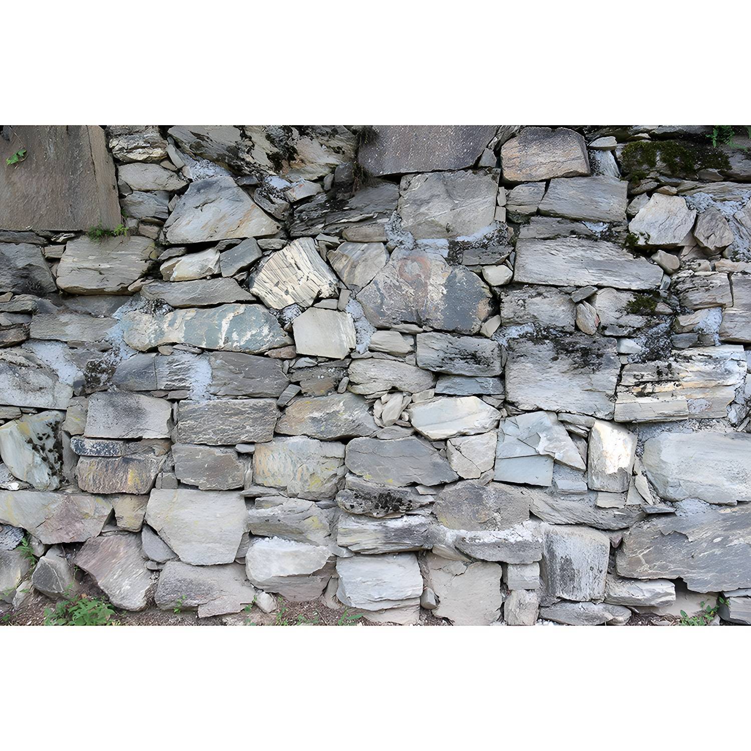 Imported image f05605950a3c 4339139.jpg