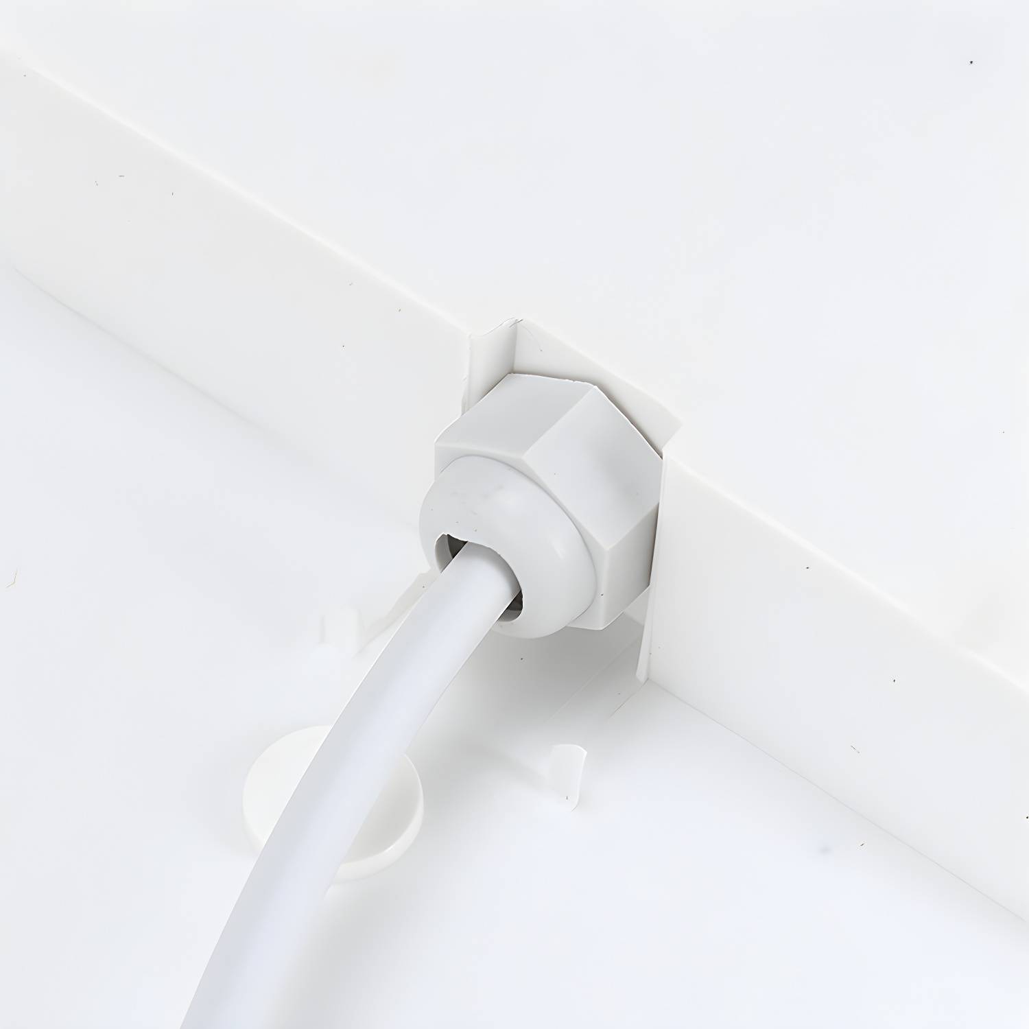 Imported image e0d7e36815a2 4341939.jpg