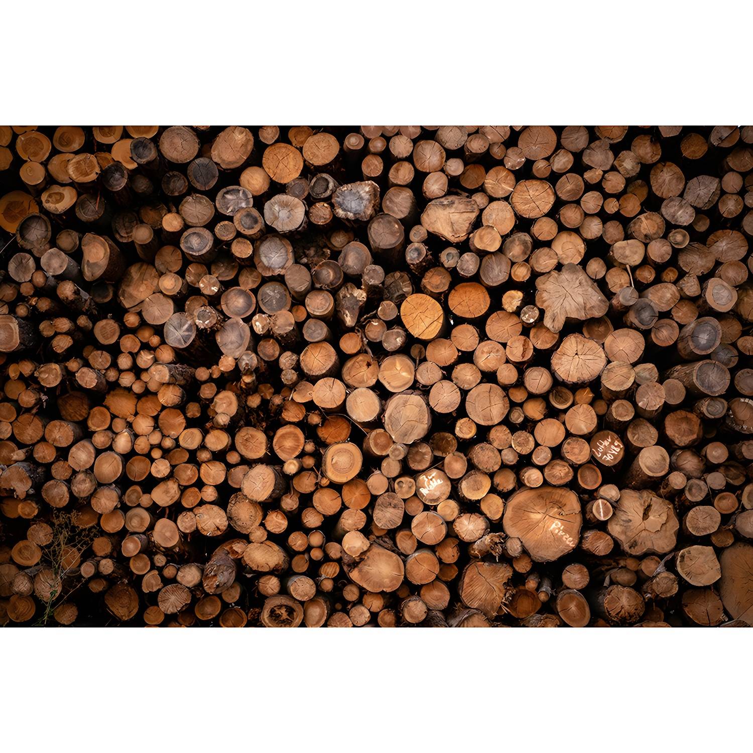 Imported image d5804c46ac60 4367627.jpg