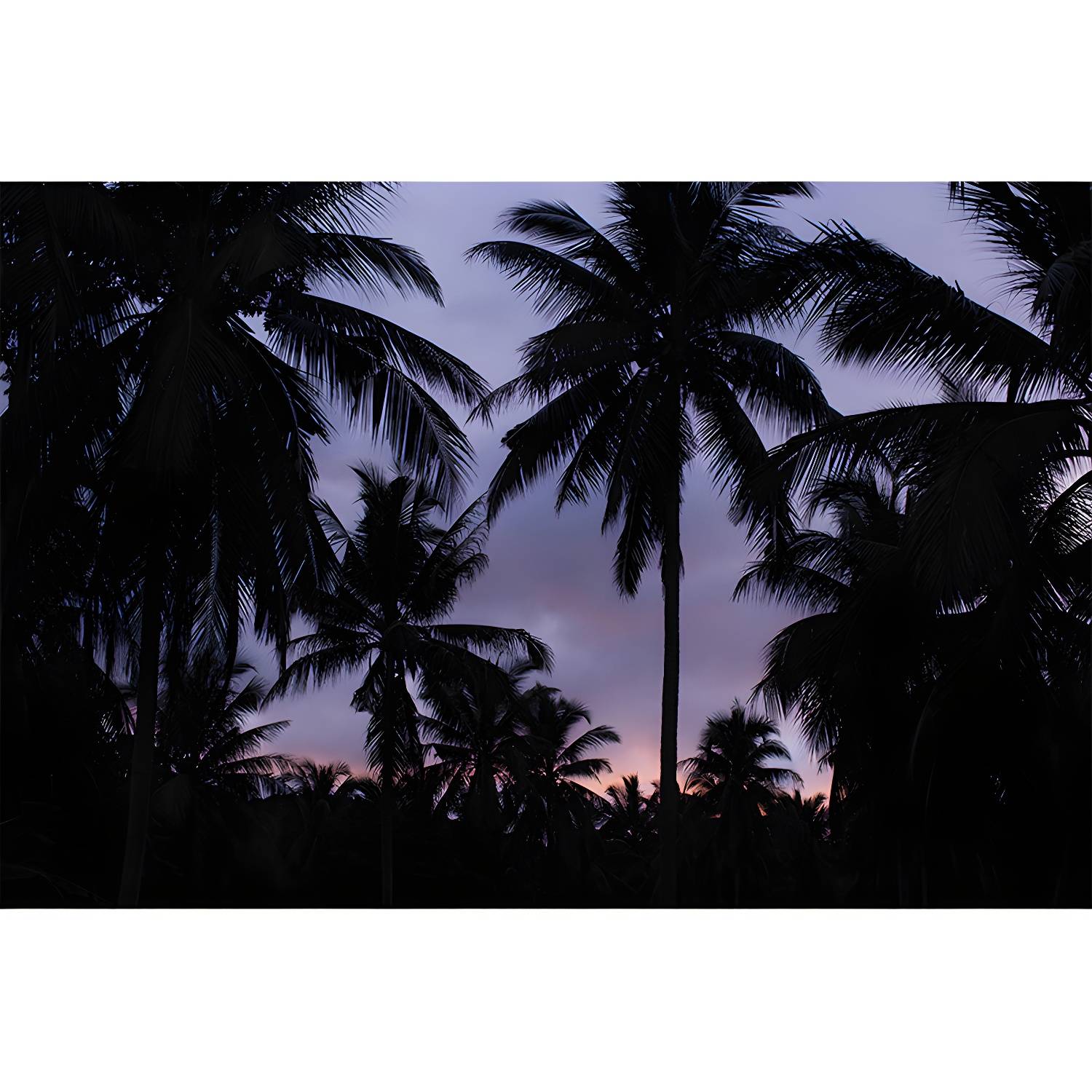 Imported image 7b6a7e87aaec 4368301.jpg