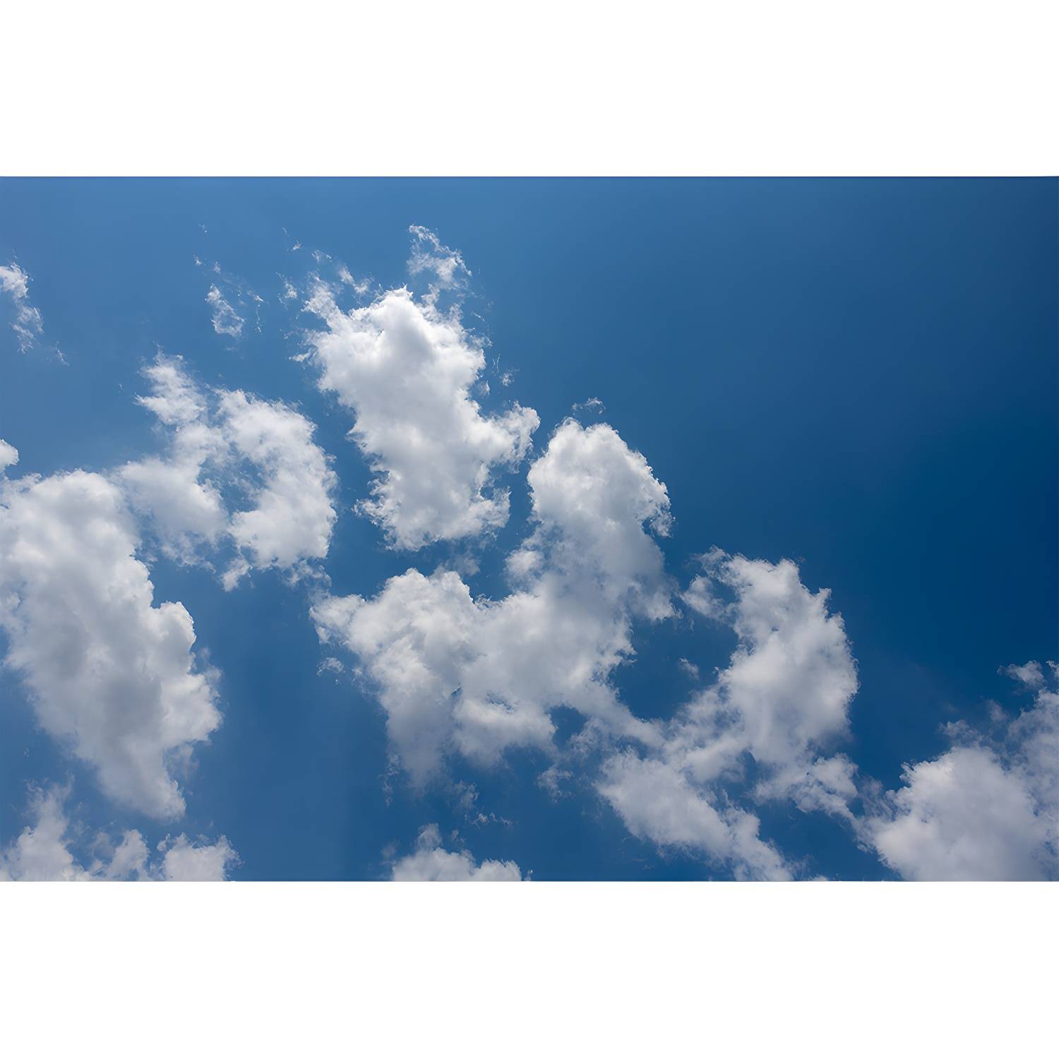 Imported image 6bdcdb7b33c7 4386623.jpg