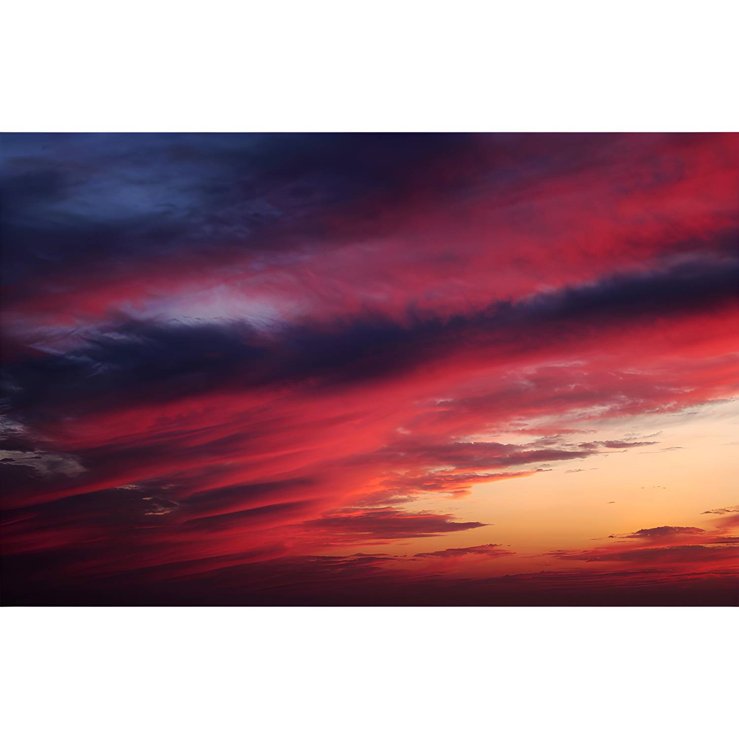 Imported image b2198a5ebe10 4386636.jpg