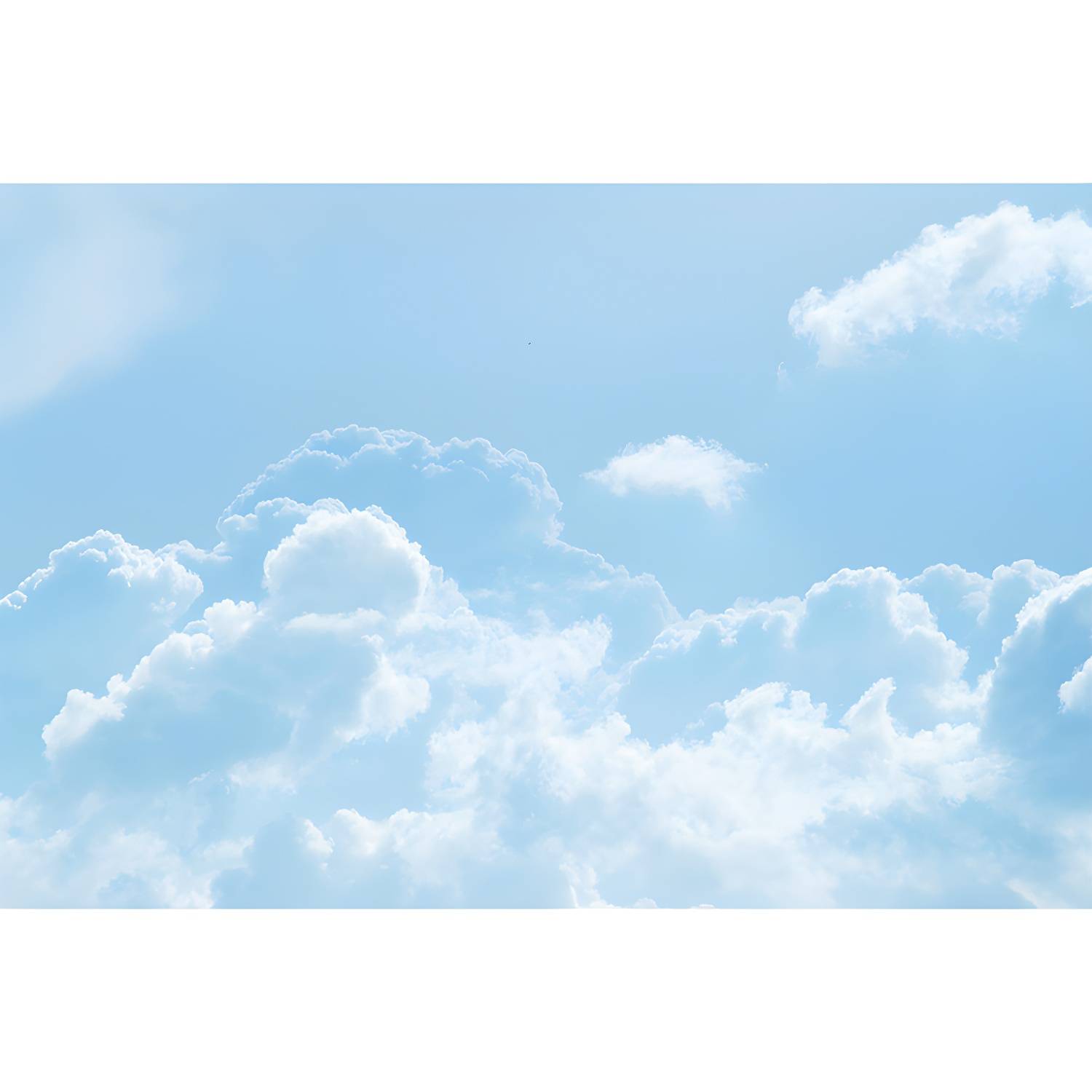 Imported image 126bee0f25d1 4386731.jpg