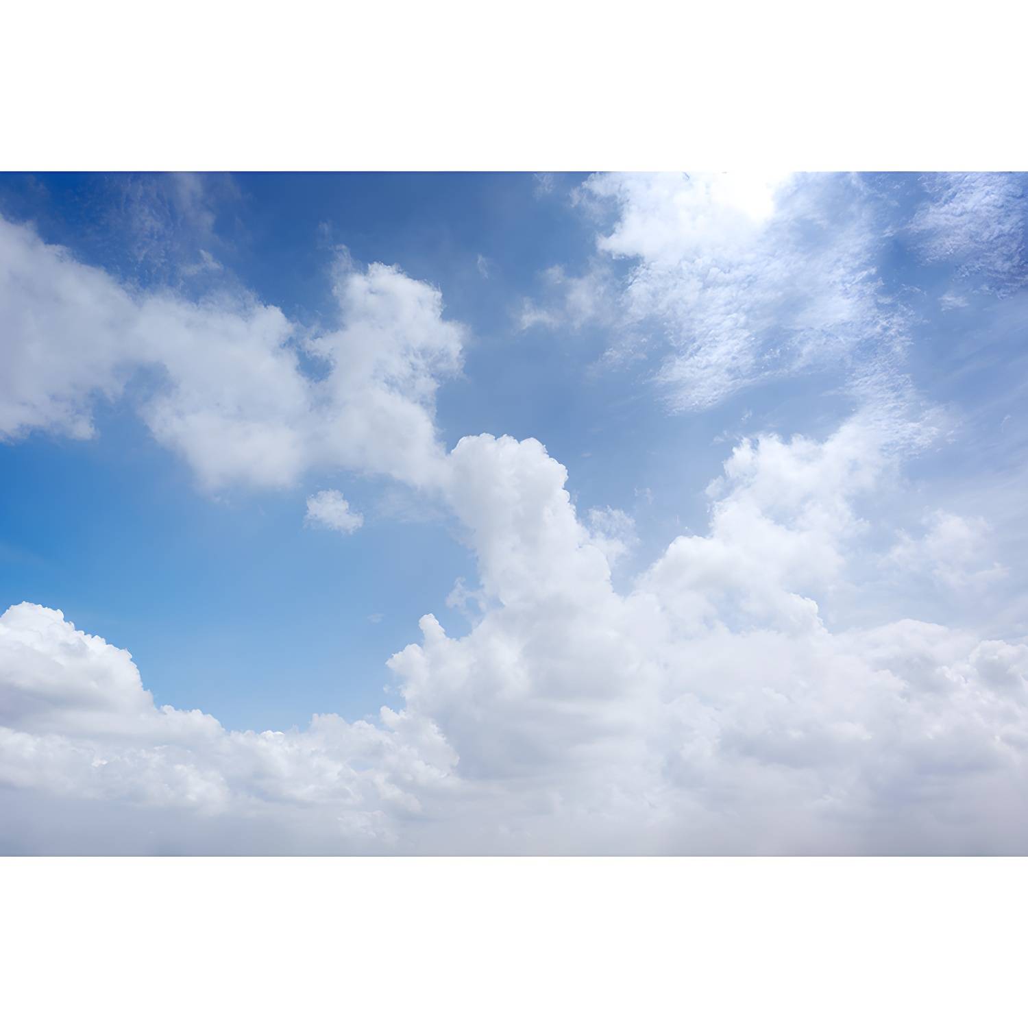 Imported image ab171efcc04a 4398259.jpg