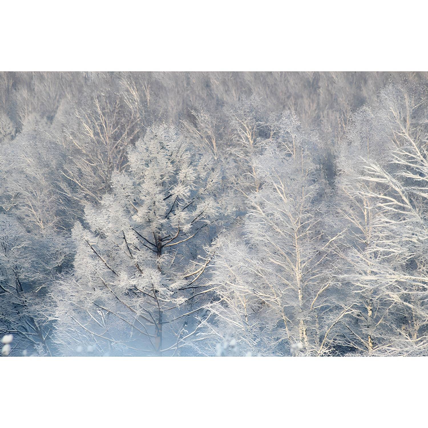 Imported image 8bc8cfb281e6 4398439.jpg