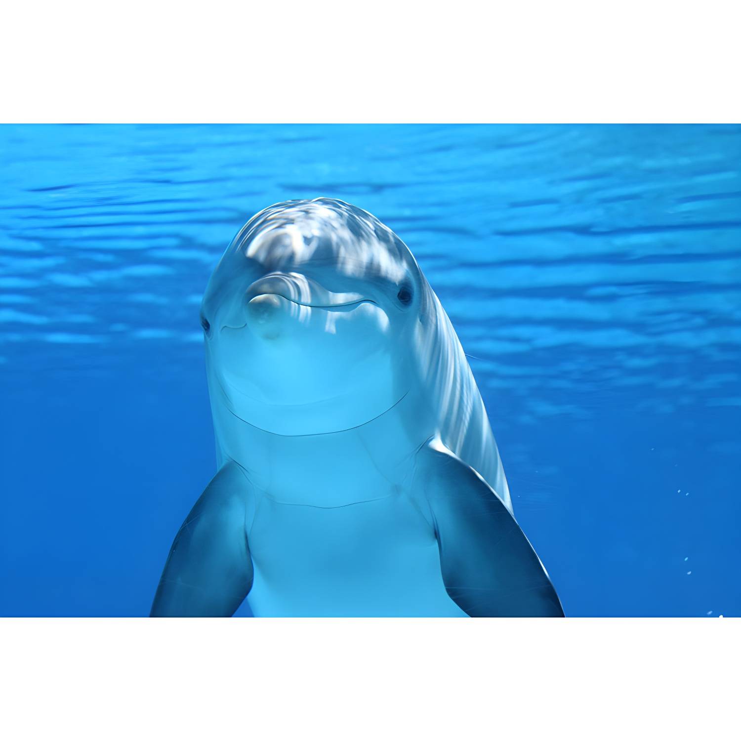 Imported image 557f2686ded2 4428512.jpg