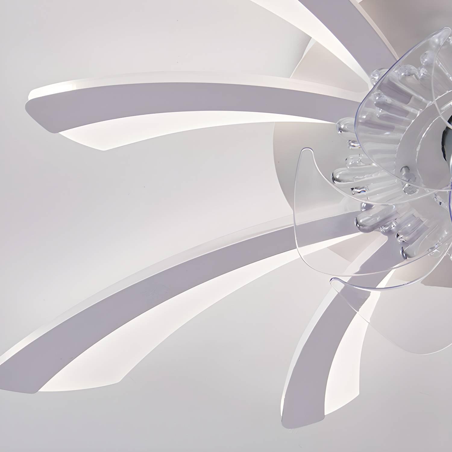 Imported image e23b9518bc1a 4432627.jpg