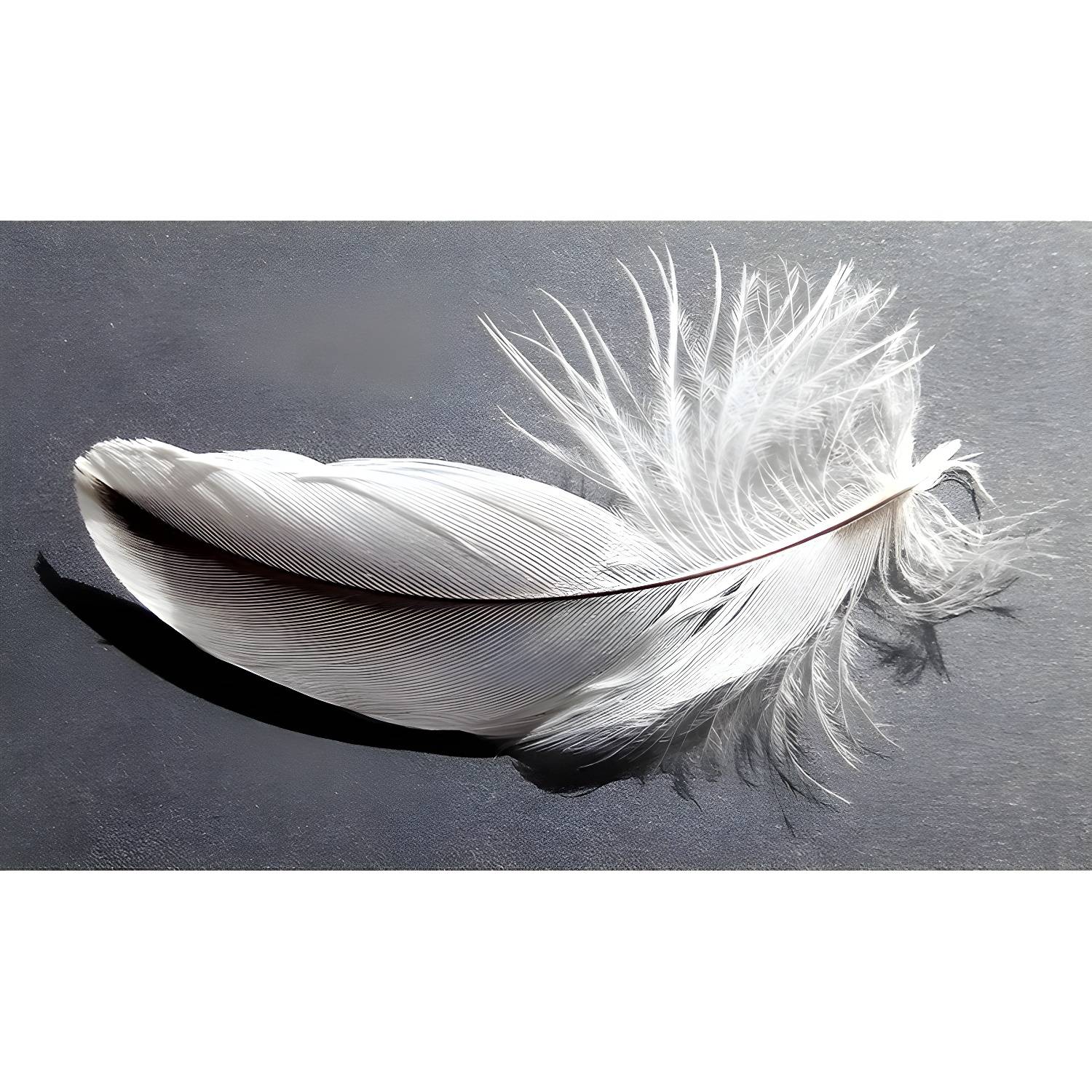 Imported image 6daad4e5dbdd 4435745.jpg
