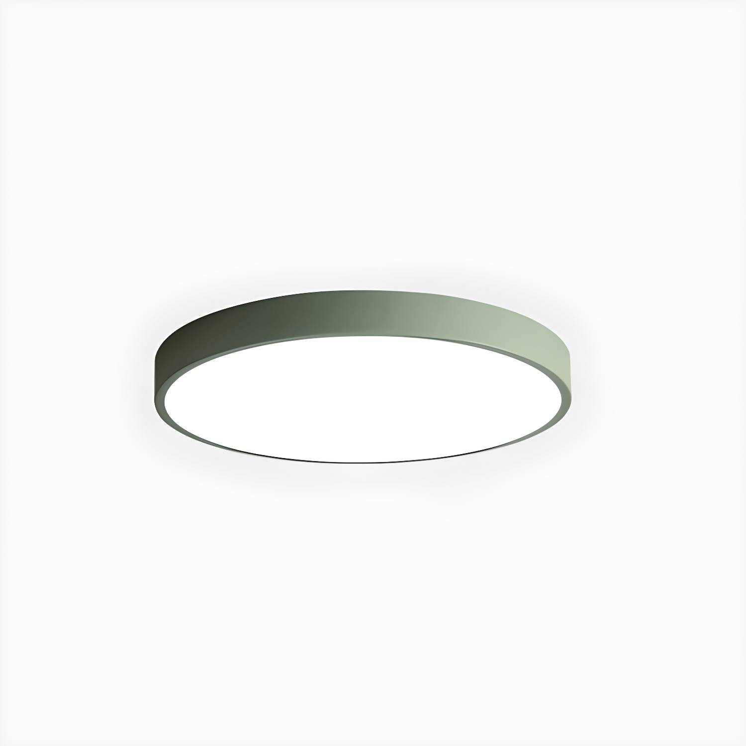 Imported image d65a4937bc3f 4440906.jpg
