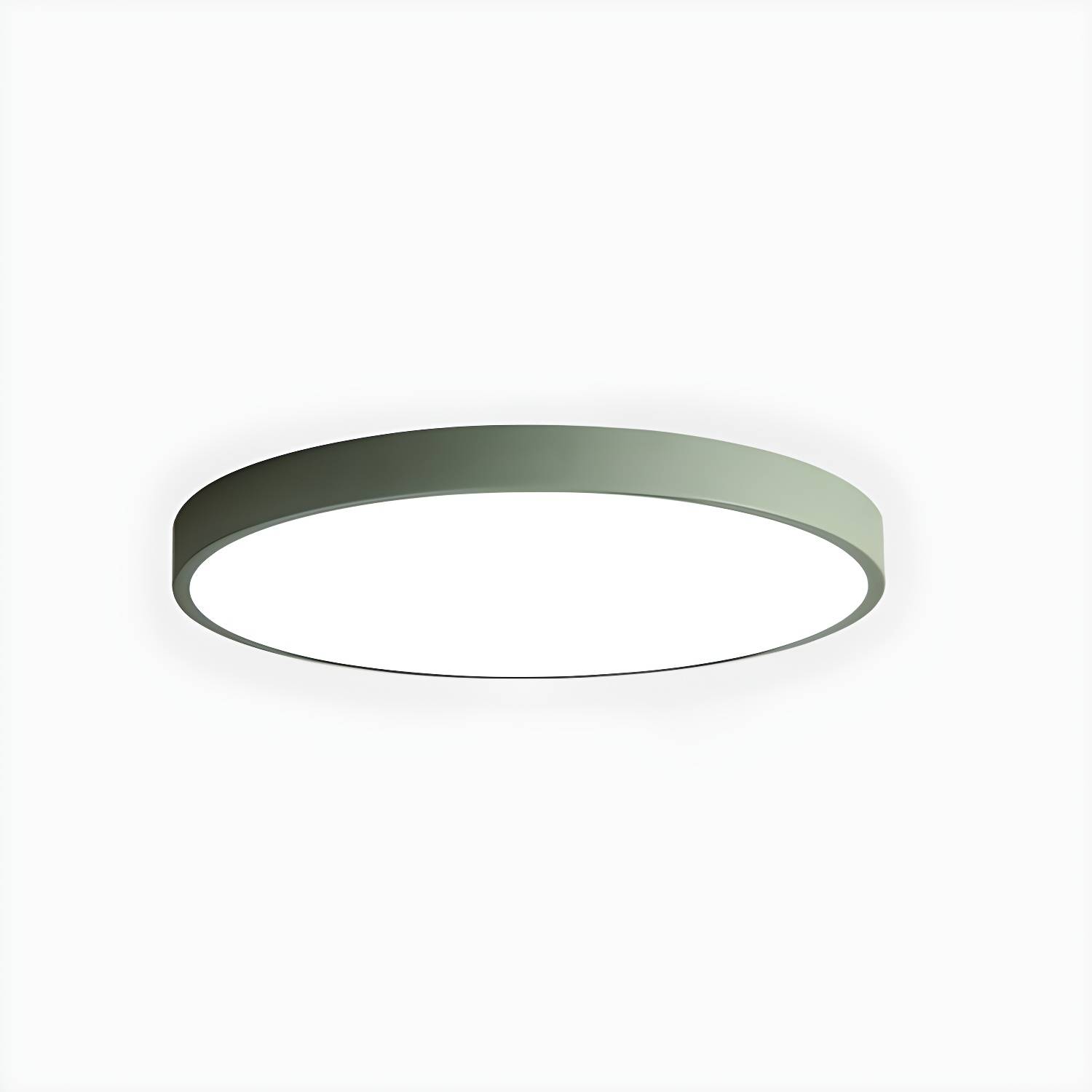 Imported image 0a8f1ad36b79 4440916.jpg