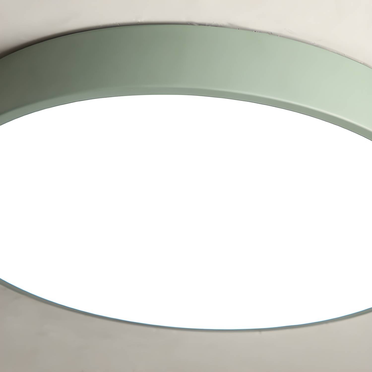Imported image f141a4eade5e 4440918.jpg