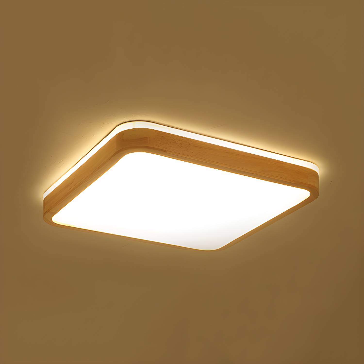 Imported image 874e8abb35c3 4461269.jpg