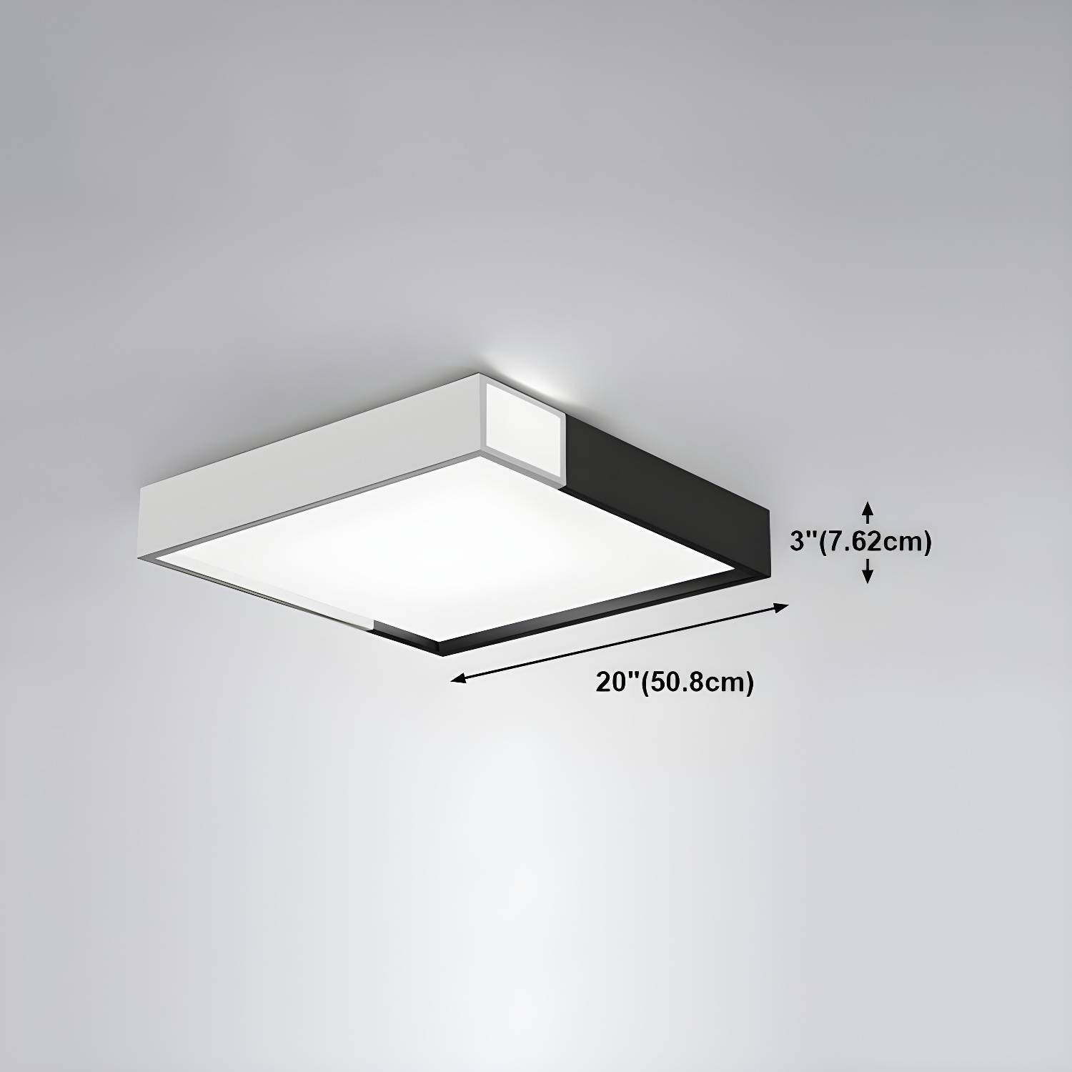 Imported image cd336146d20b 4469650.jpg