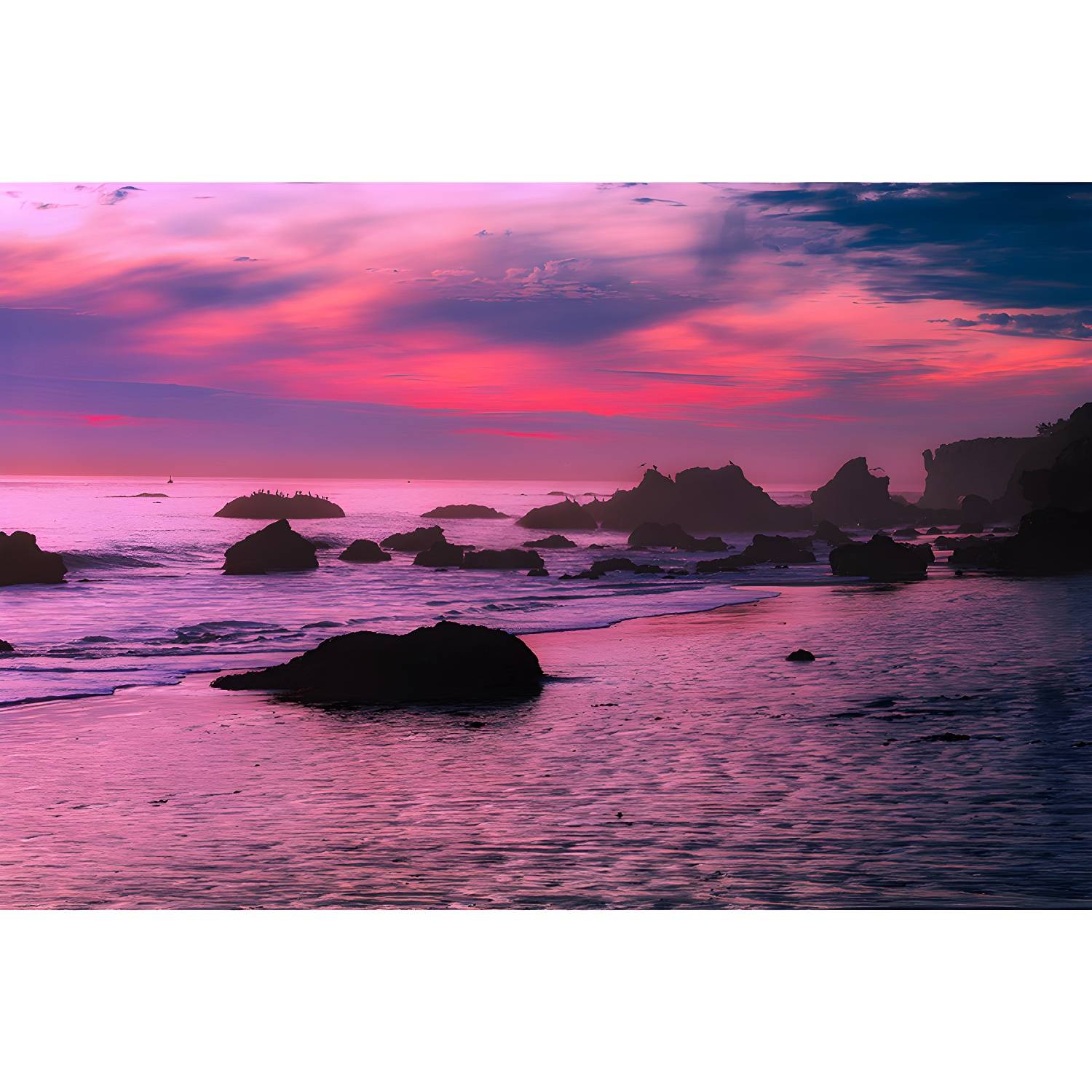 Imported image 115fa604838a 4489991.jpg