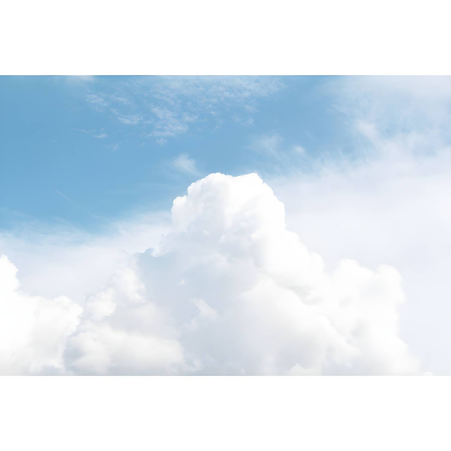 Imported image cff6658f57ee 4489995.jpg