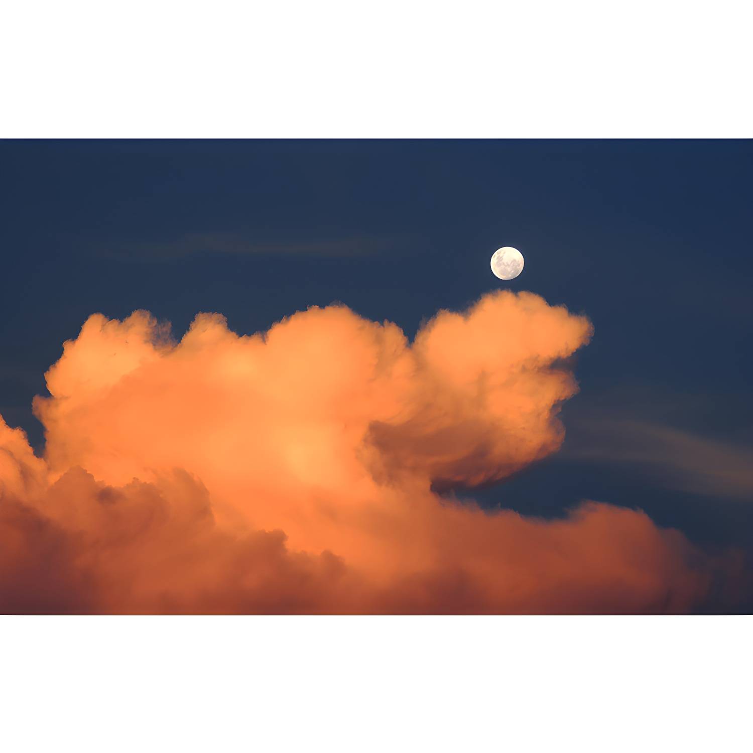 Imported image 05e33f3d6b82 4489999.jpg