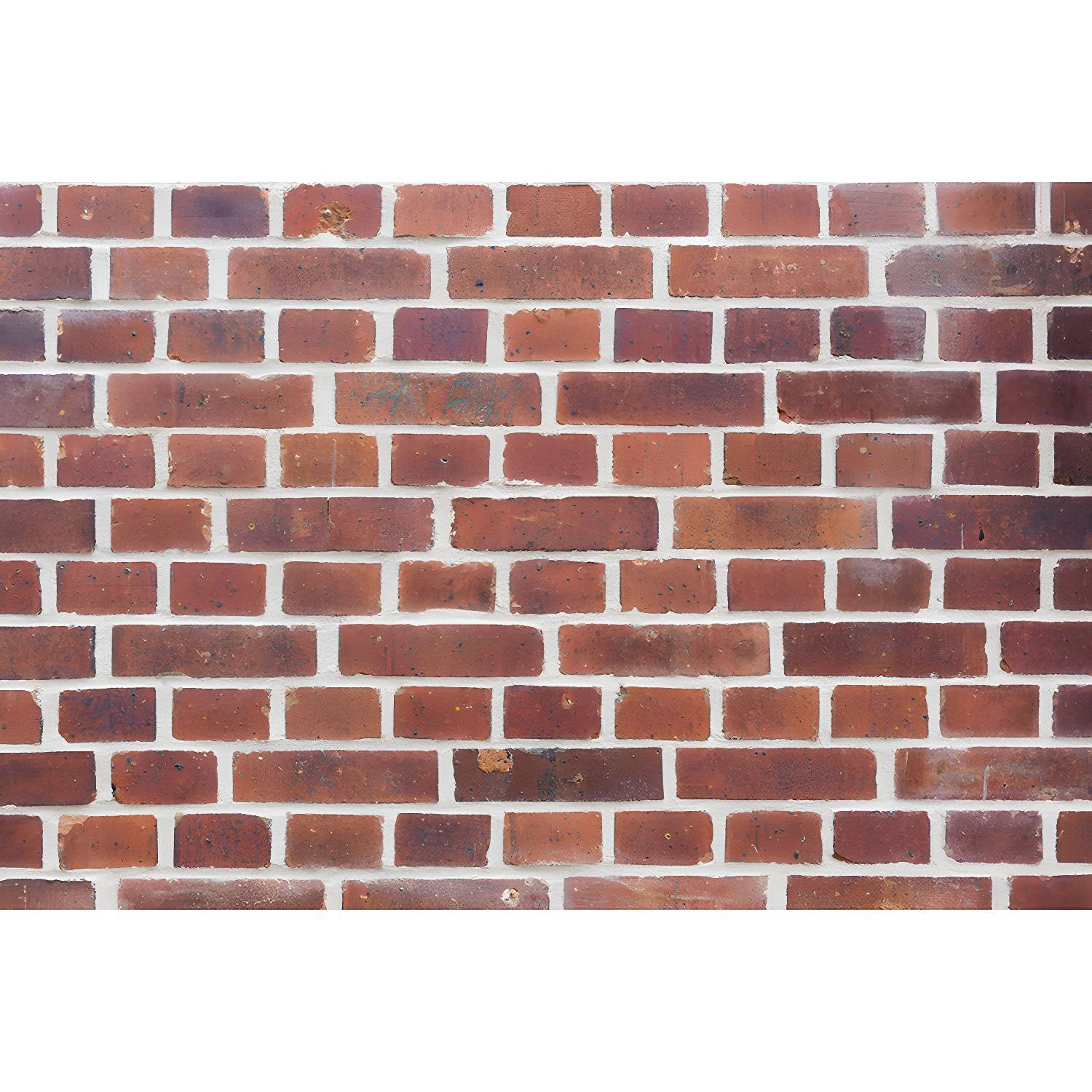 Imported image a6fec95248f2 4490582.jpg