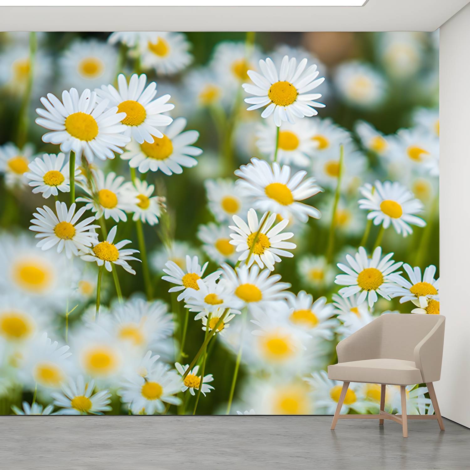 Imported image 38ad49311ce7 4490836.jpg