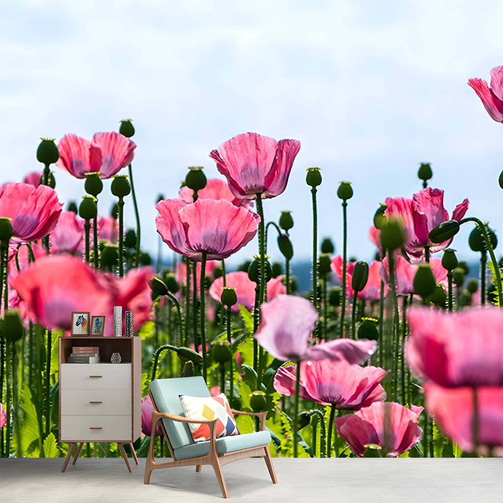 Imported image 3c01a4135cc9 4490843.jpg