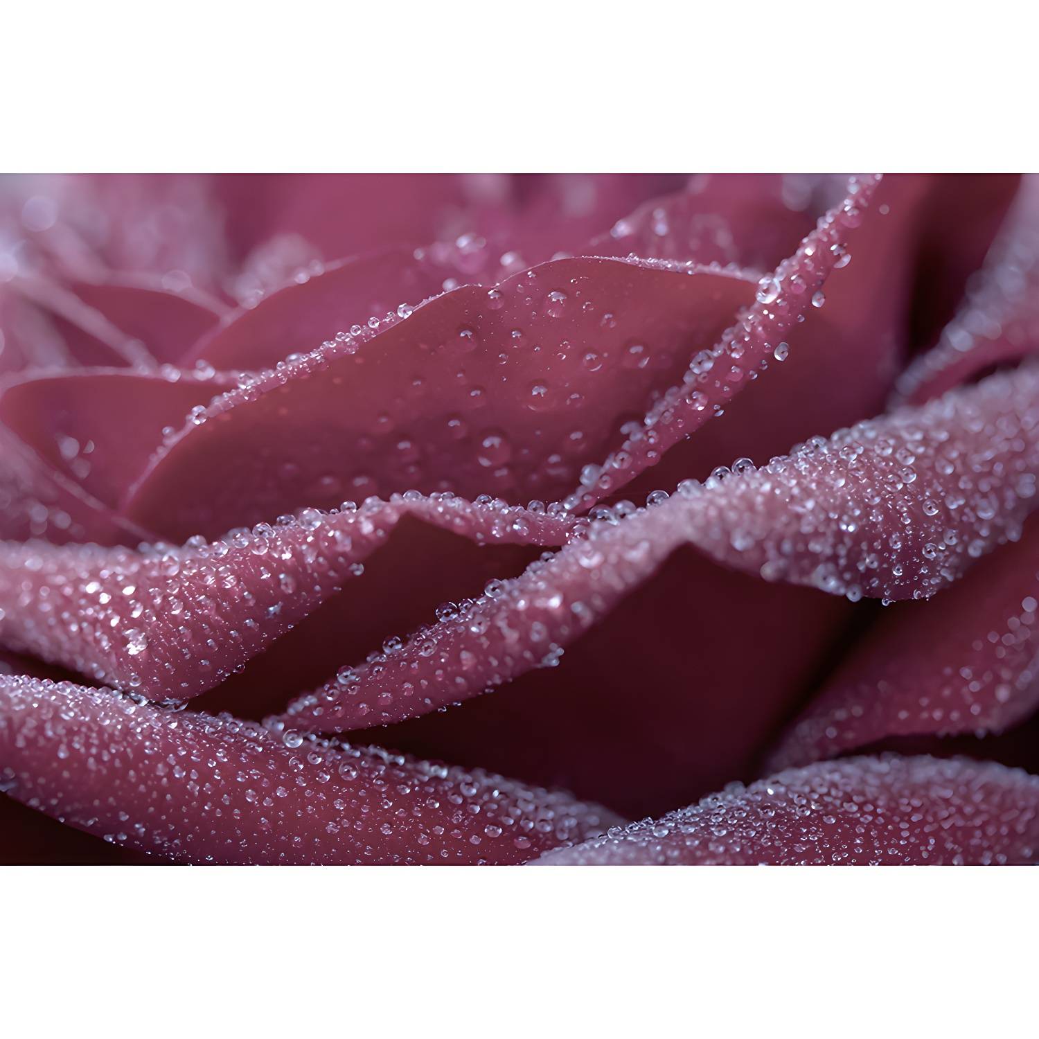 Imported image e307a6d8856d 4490895.jpg