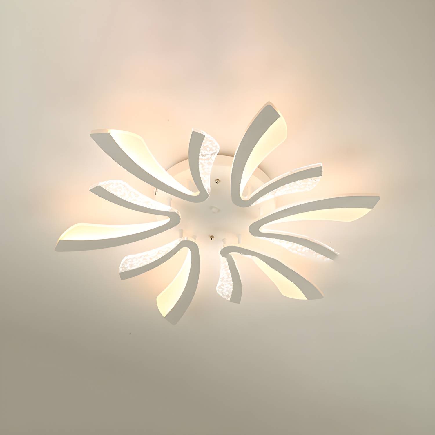 Imported image d1d4da58e258 4496363.jpg