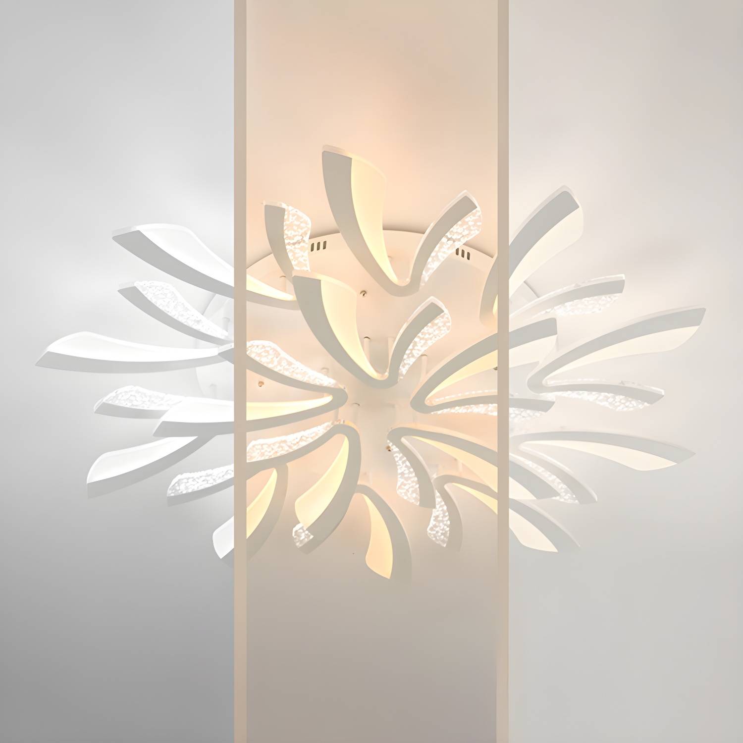 Imported image ebefd019ff4e 4496373.jpg