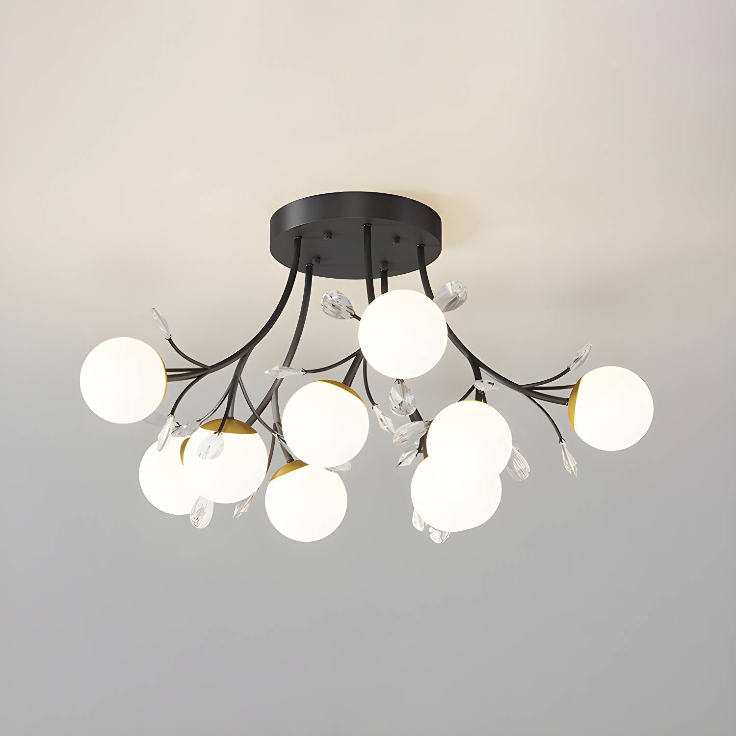 Imported image ee81686cadd2 4504701.jpg