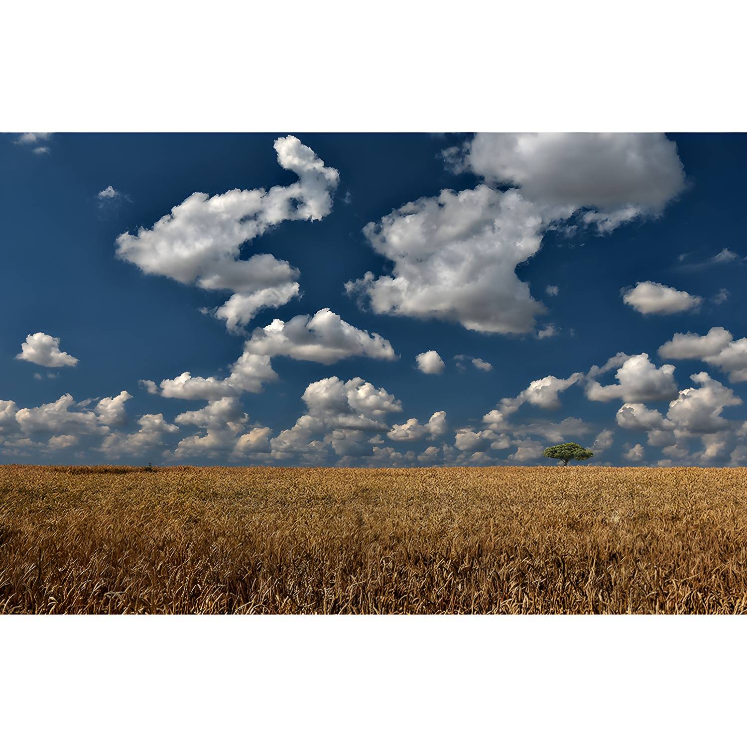 Imported image ee1460d8ae1b 4510353.jpg
