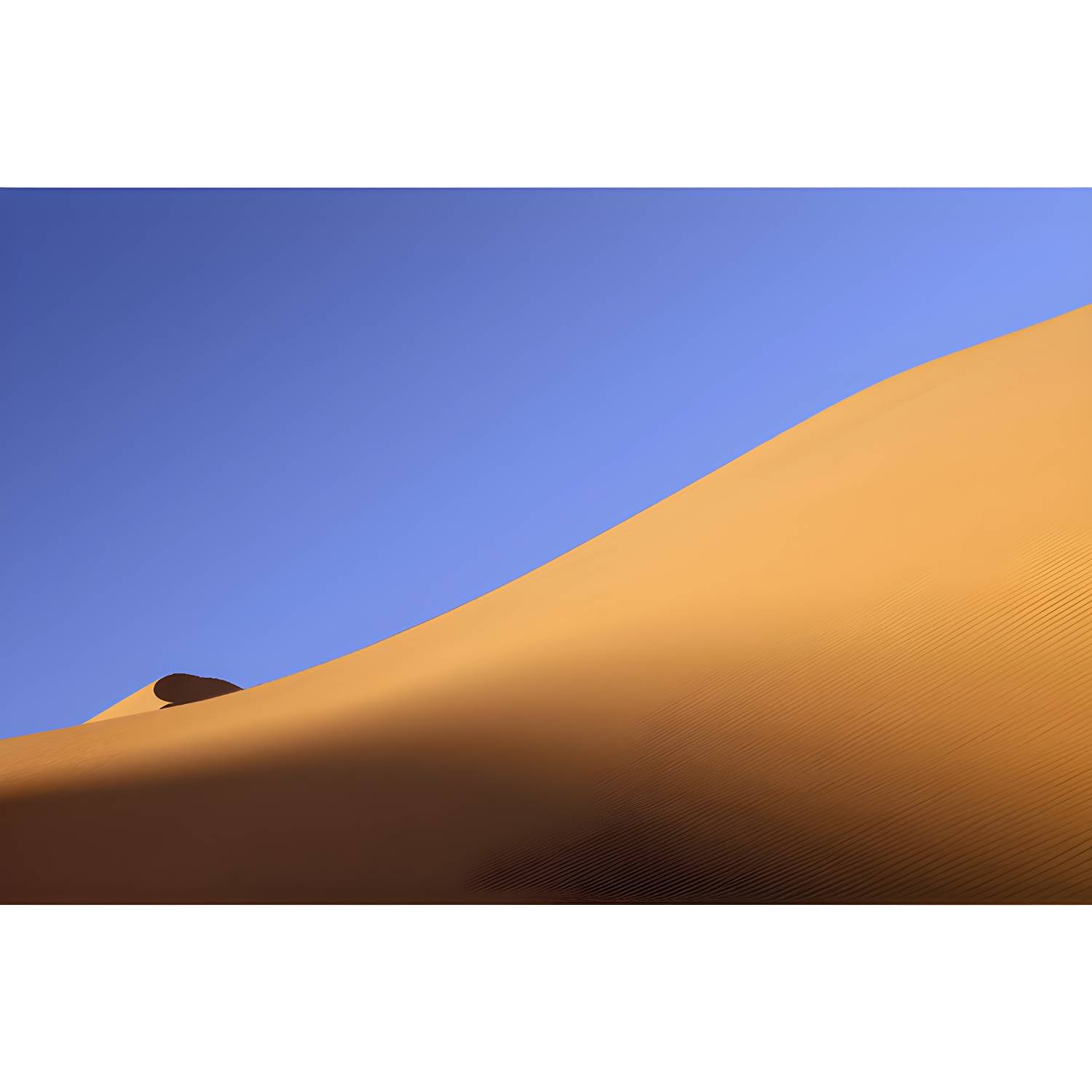 Imported image b5db4f5a6da9 4518170.jpg