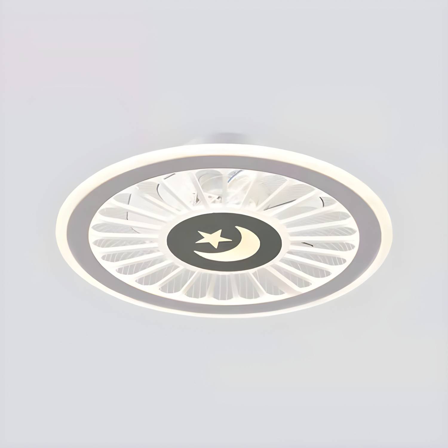 Imported image 9323e8a8f771 4533137.jpg