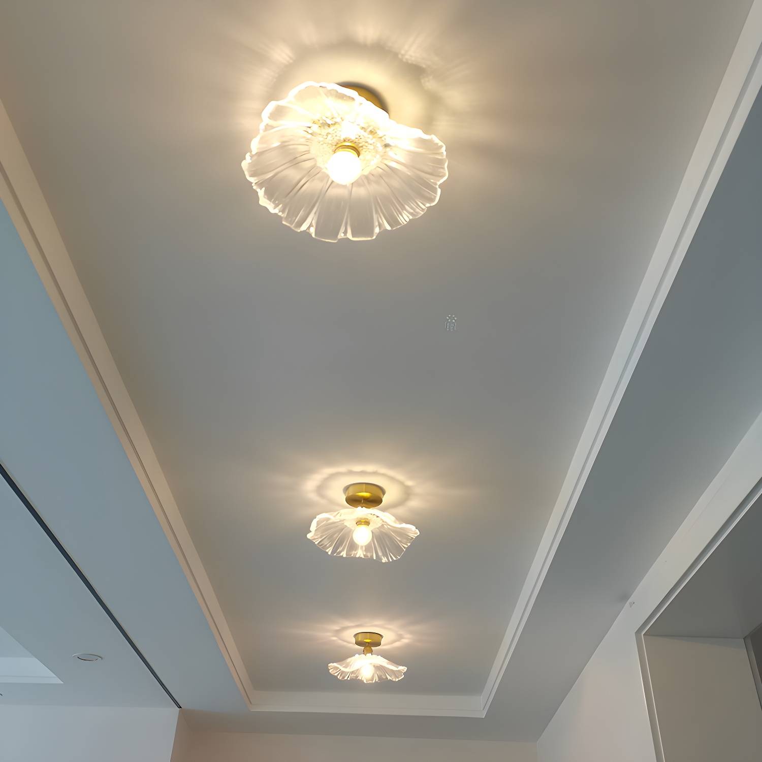 Imported image 74b504ae688d 4540284.jpg