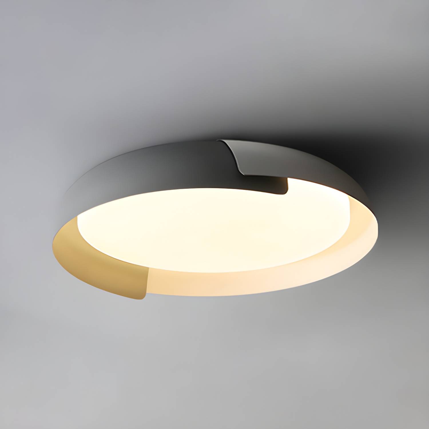 Imported image 318a2f87abdb 4547438.jpg