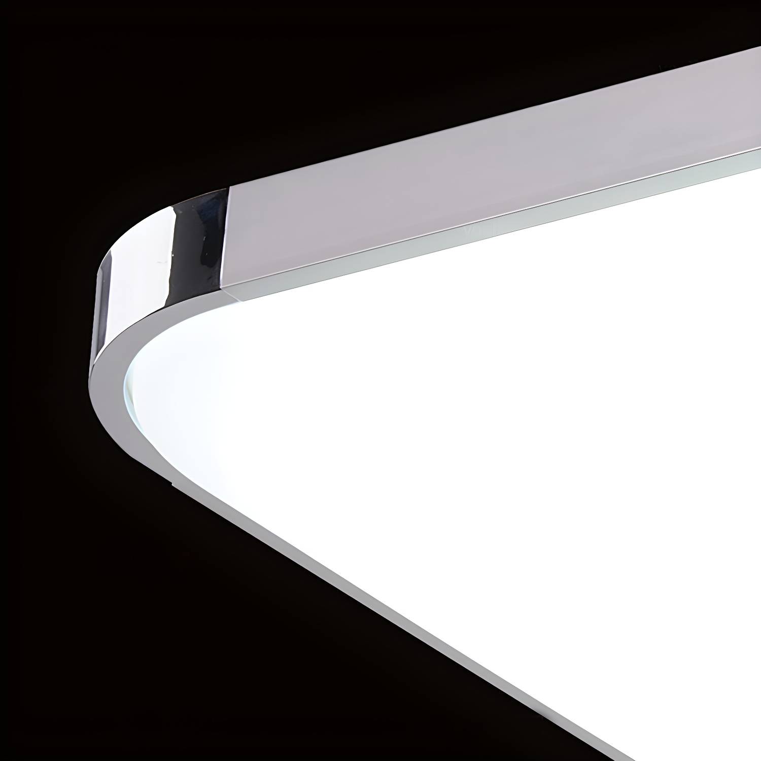 Imported image b88313d6ca06 4547557.jpg