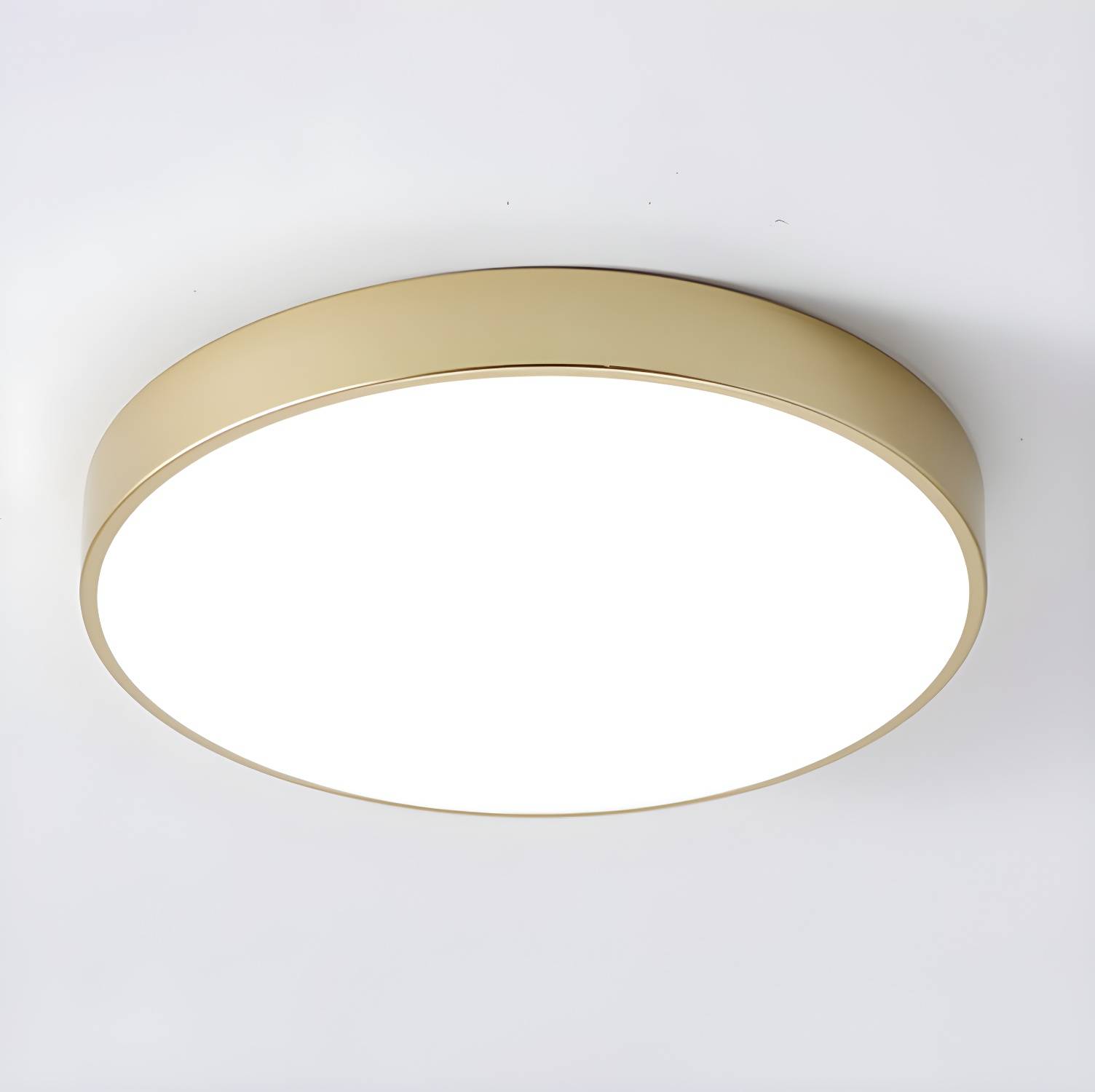 Imported image d1dd3cbe72c2 4547592.jpg