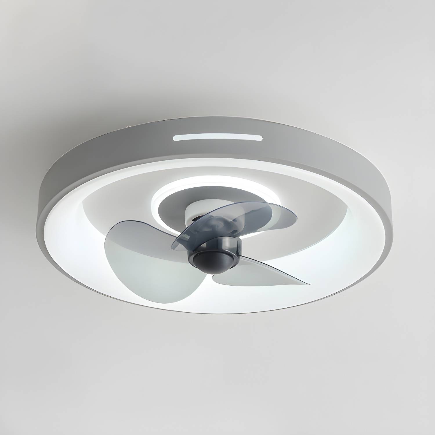 Imported image c79afec09a5c 4549402.jpg