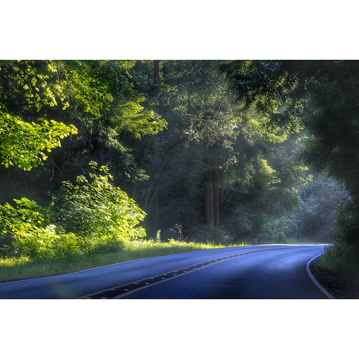 Imported image 7b3740438bfc 4551196.jpg