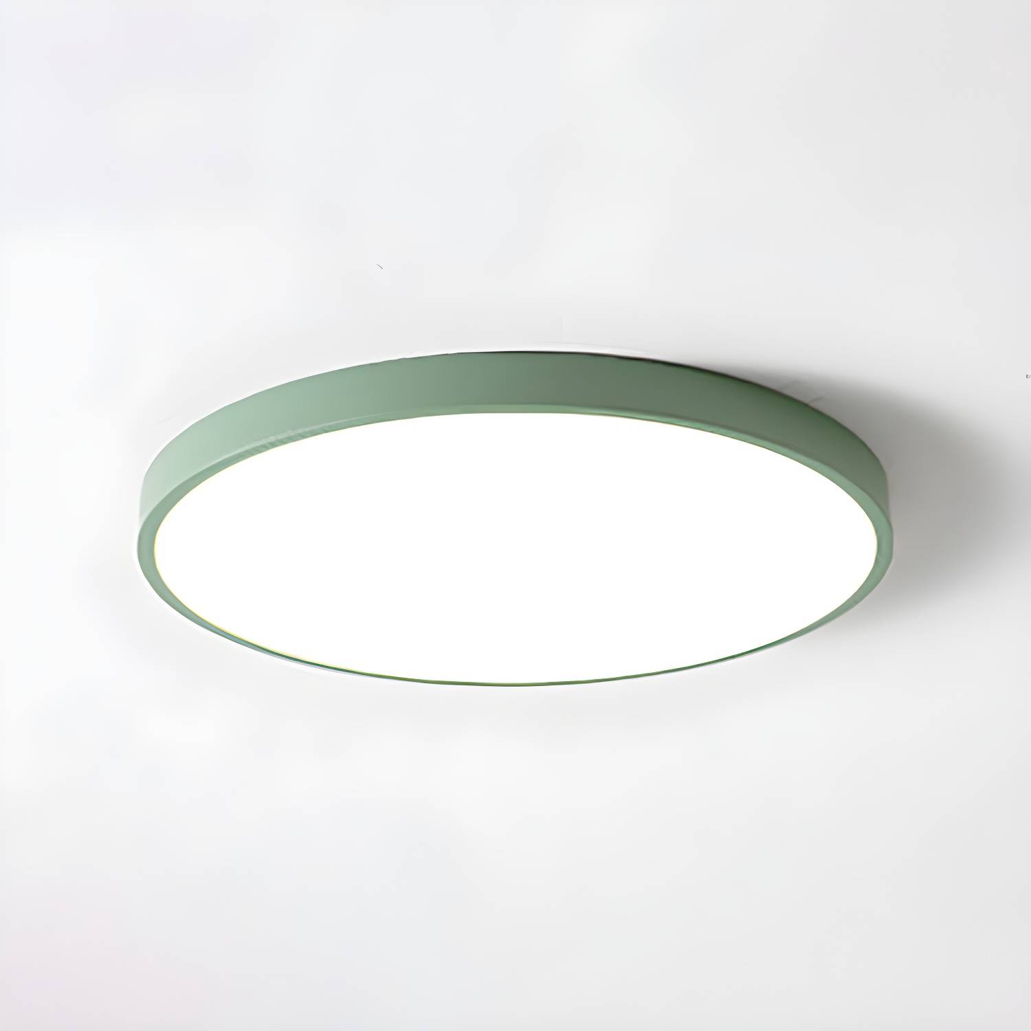 Imported image d2a56a021912 4553010.jpg