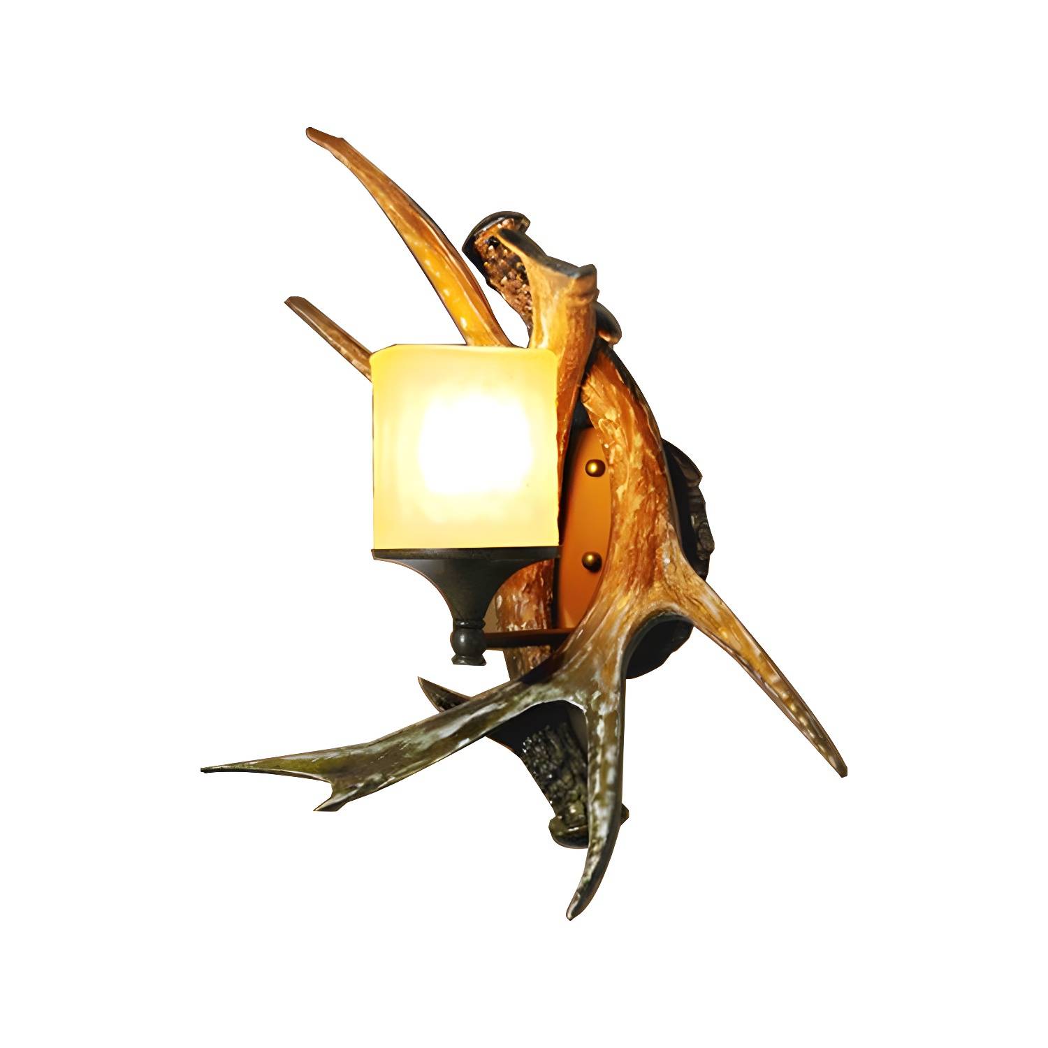 Imported image 566485b36e1b 456516.jpg