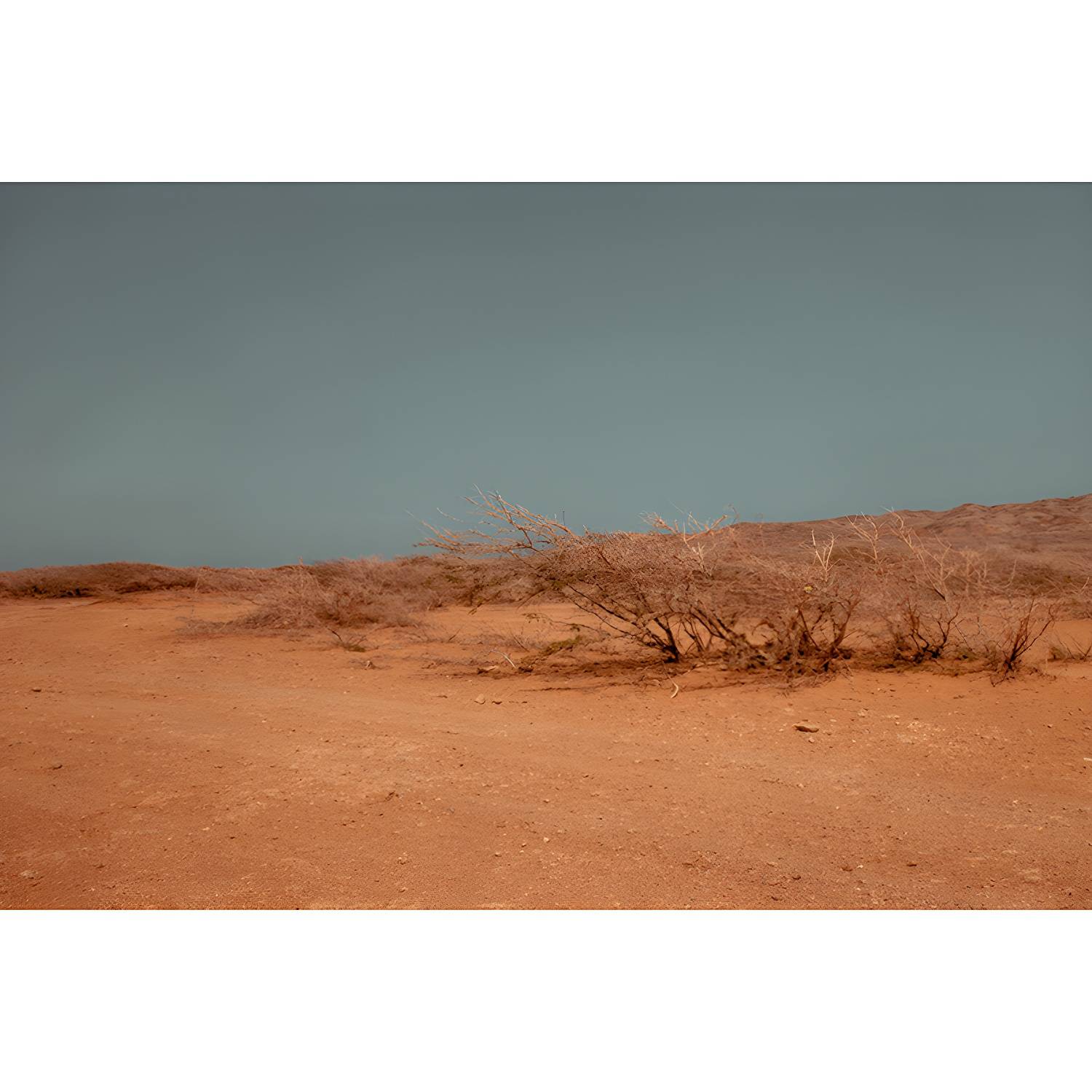 Imported image 1ad42b206de2 4565369.jpg