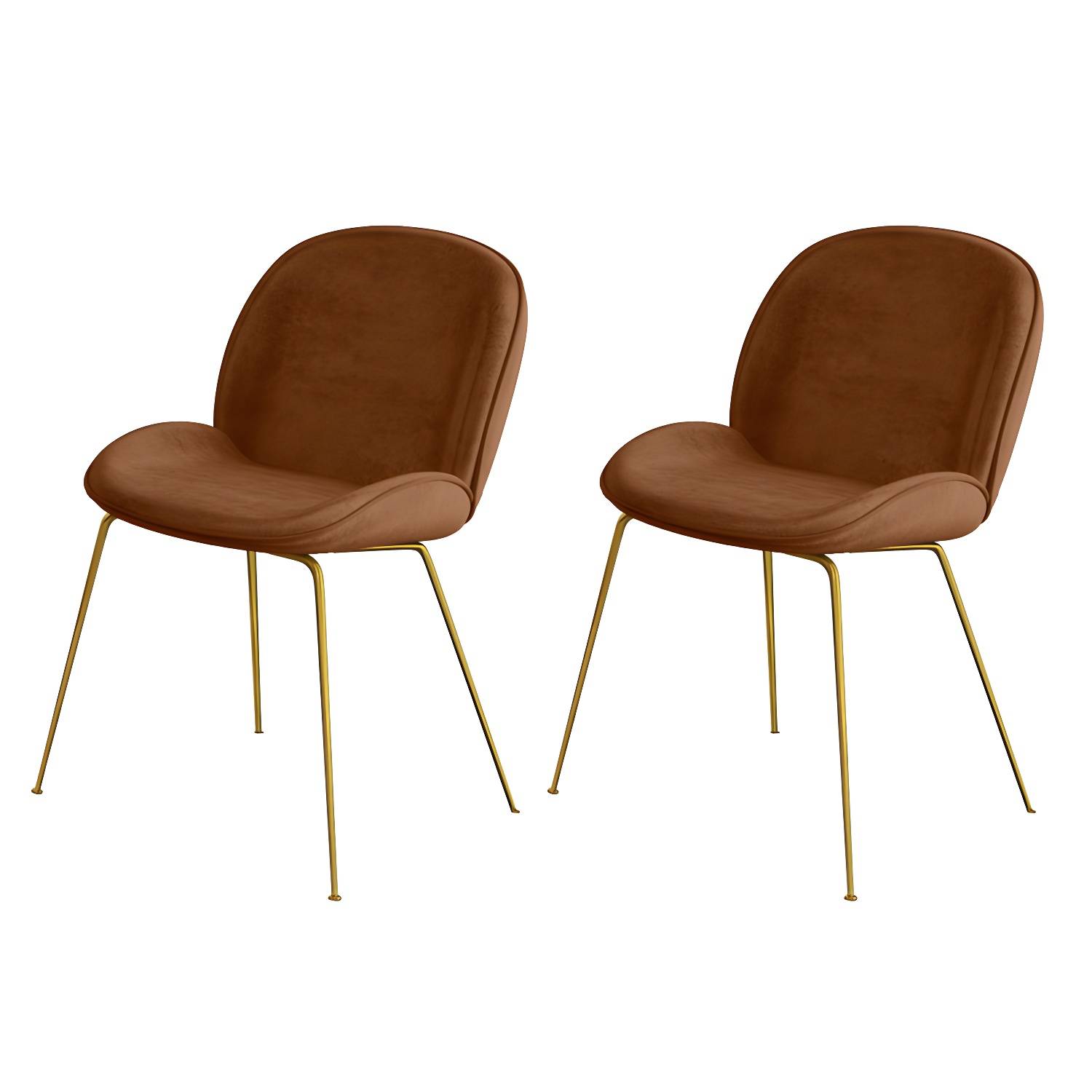 Imported image 63d0d902cc96 4572572.jpg