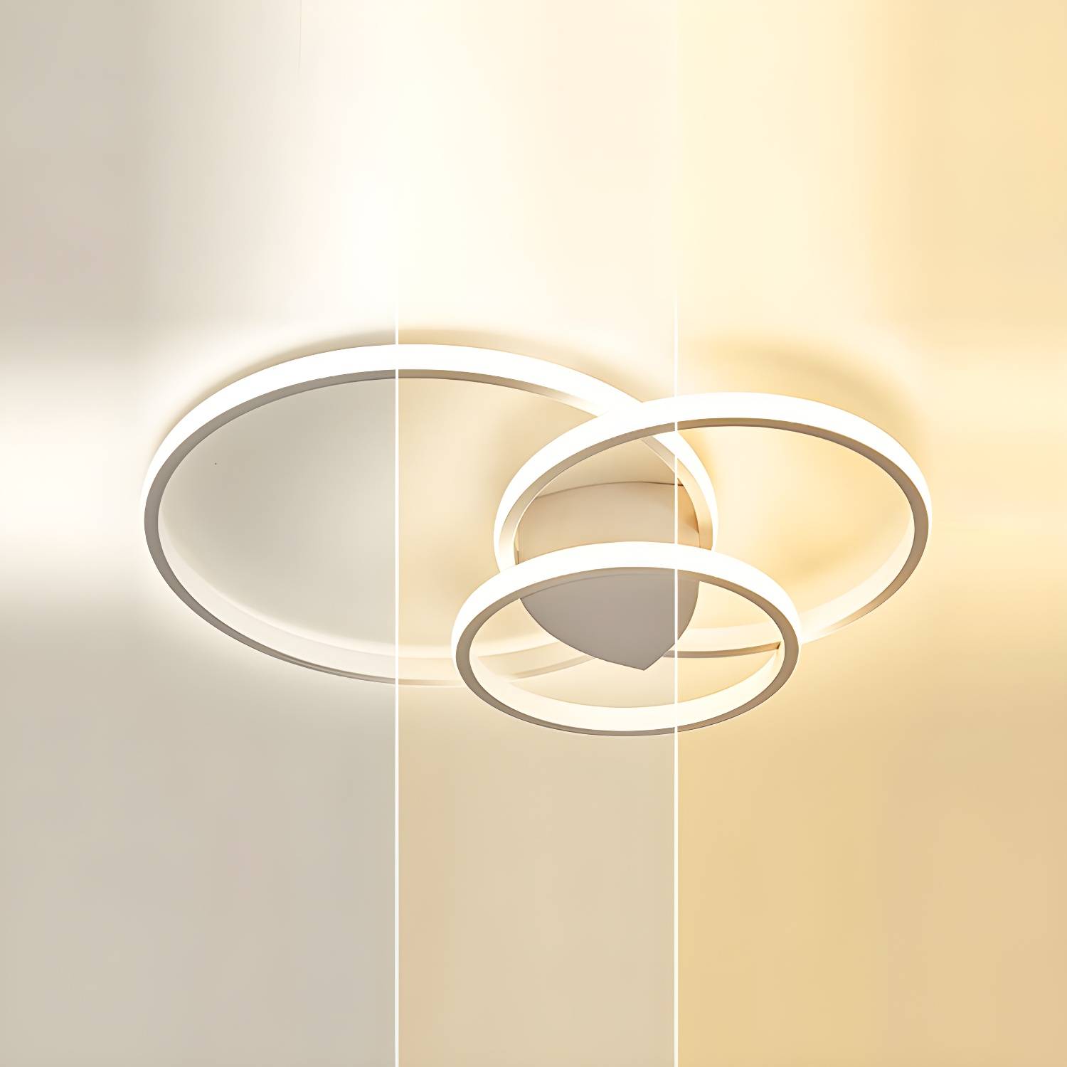 Imported image d1483849423d 4577987.jpg