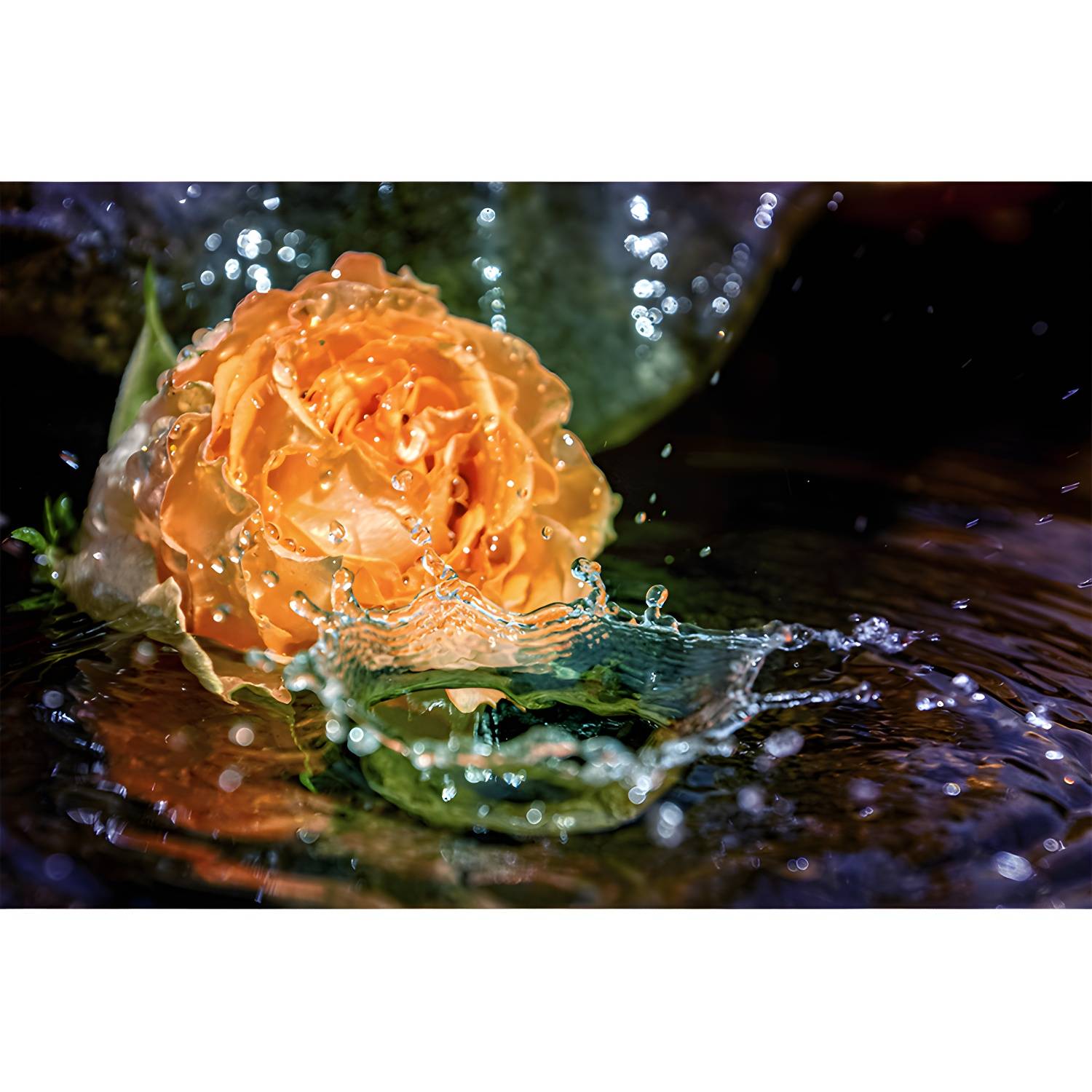 Imported image d489da5bbe5c 4586570.jpg