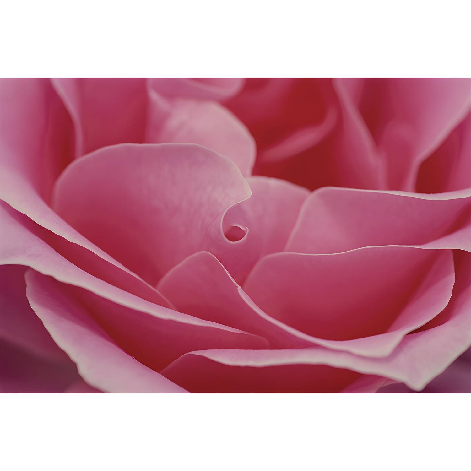 Imported image 48d5ea91ce13 4586596.jpg