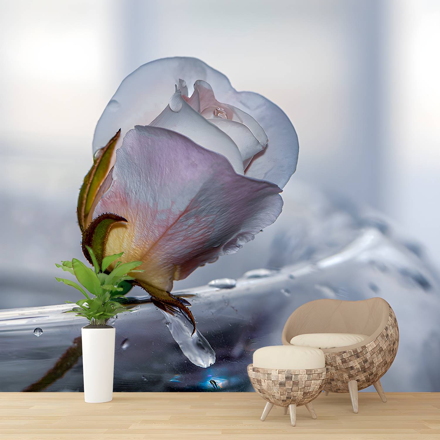 Imported image 1802ced69bf5 4586598.jpg