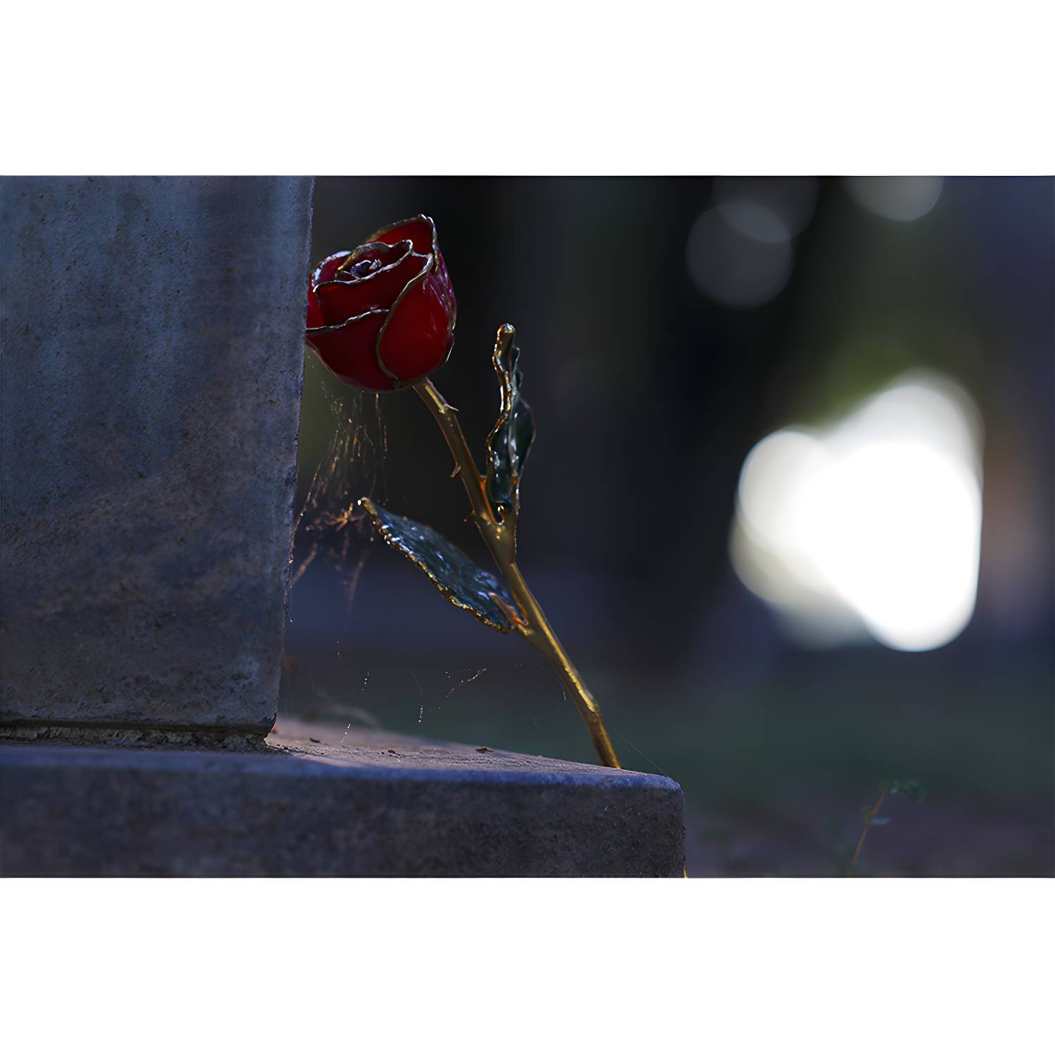 Imported image 614ea3086572 4586606.jpg