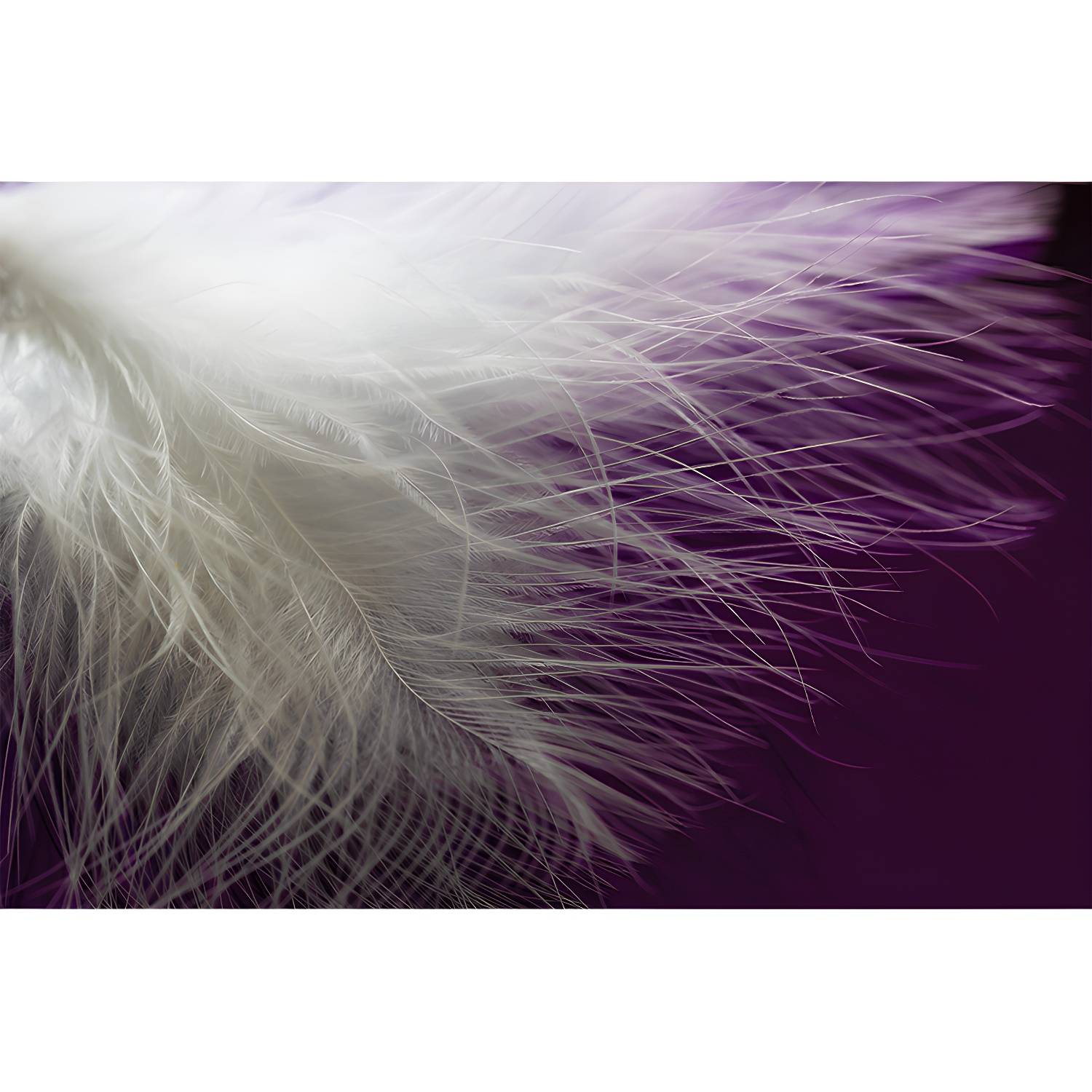 Imported image c833fce59f0e 4596432.jpg