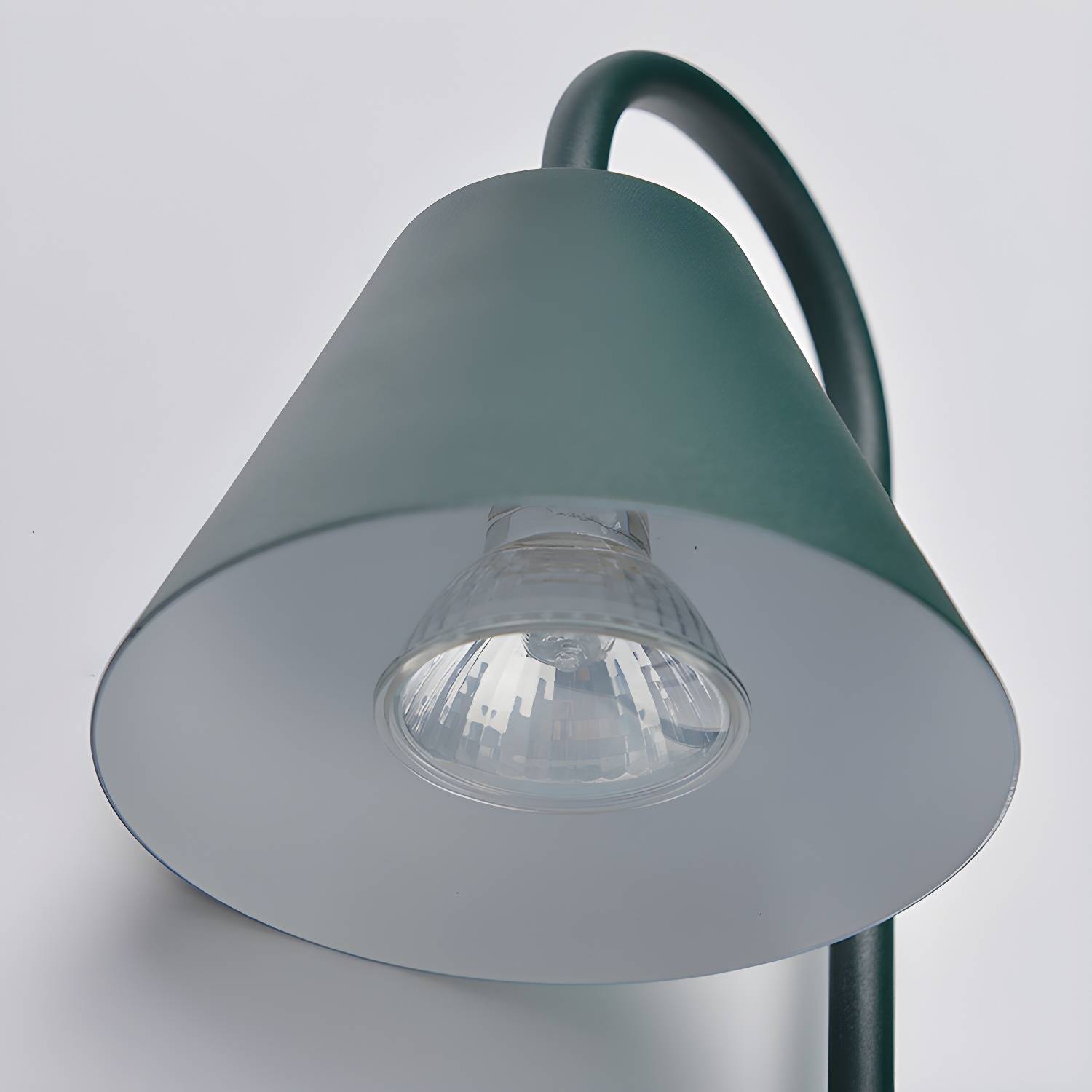 Imported image 5eaa89d6a356 4602090.jpg