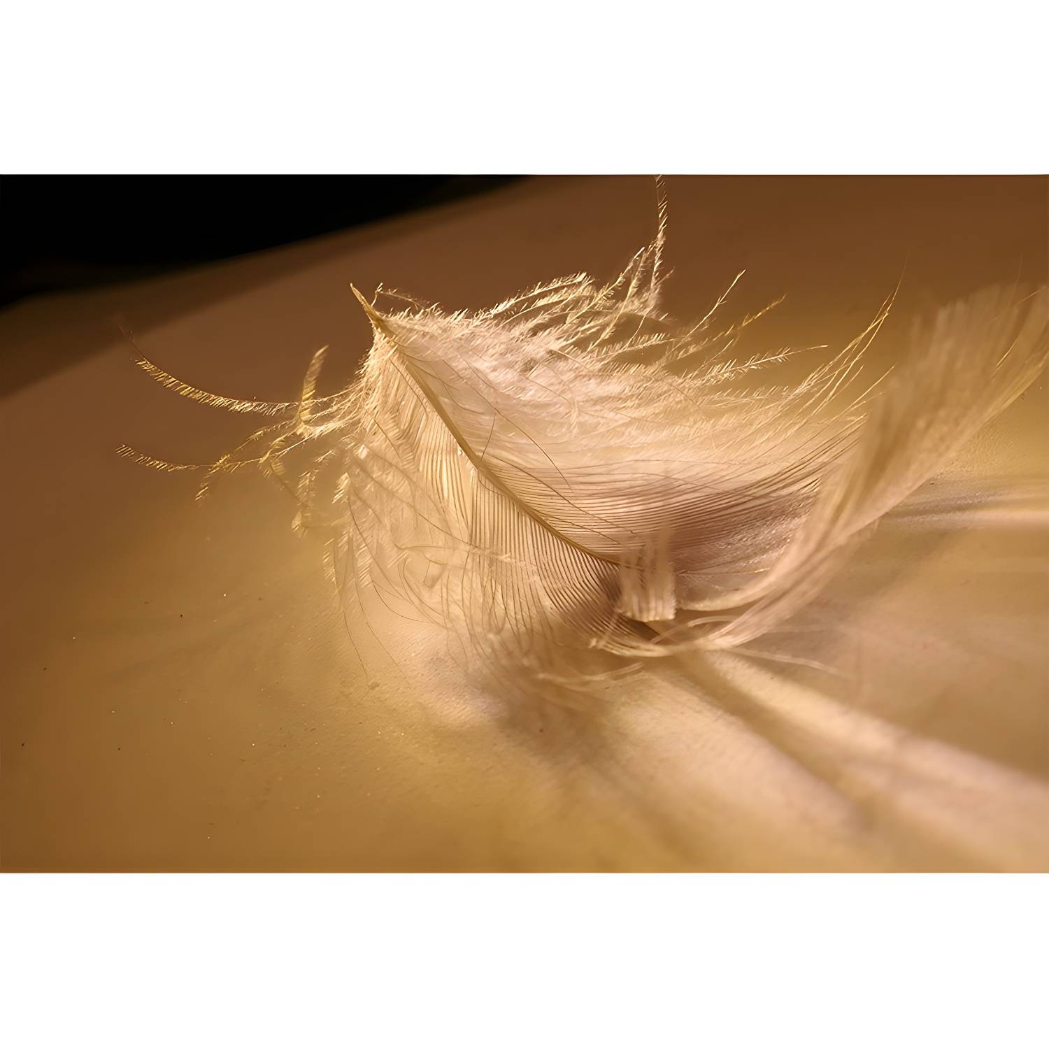 Imported image af9e146a15e7 4605259.jpg